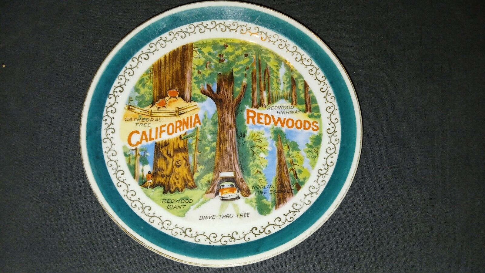 Vintage California Redwoods Souvenir Collector 8\