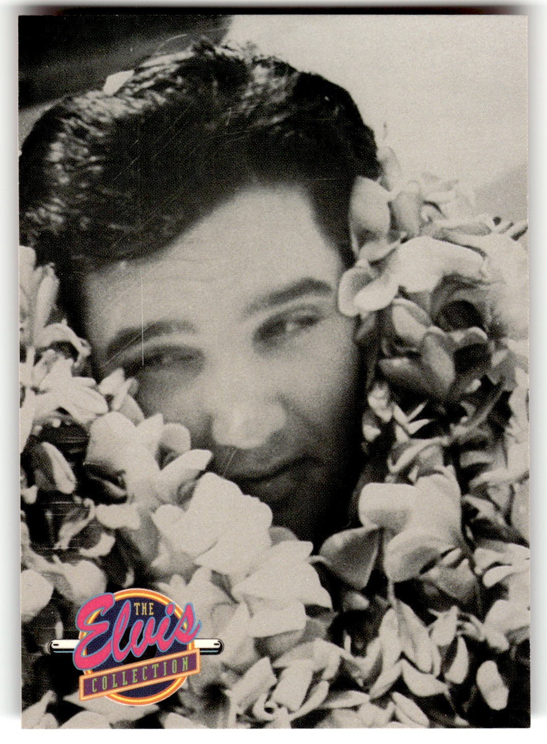 The River Group The Elvis Collection Card #552 Elvis in Hawaii The River Group The Elvis Collection Card #552 Elvis in Hawaii