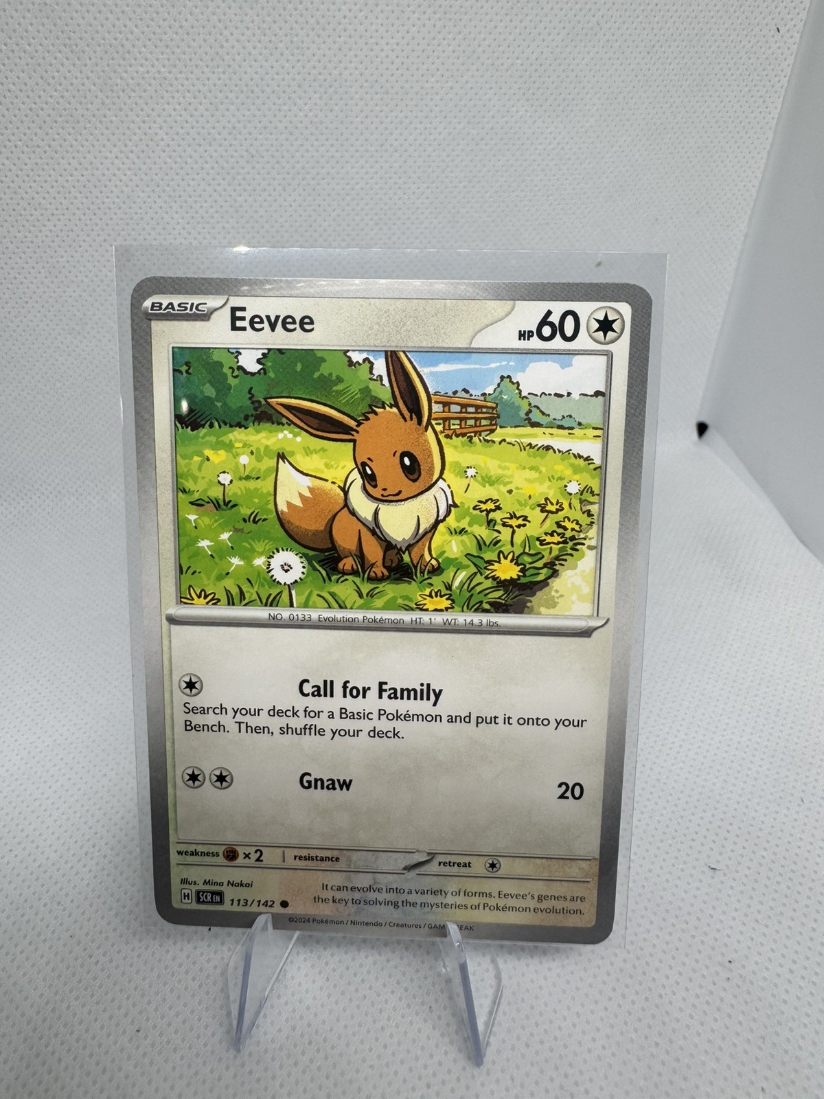 Eevee #113 Eevee #113