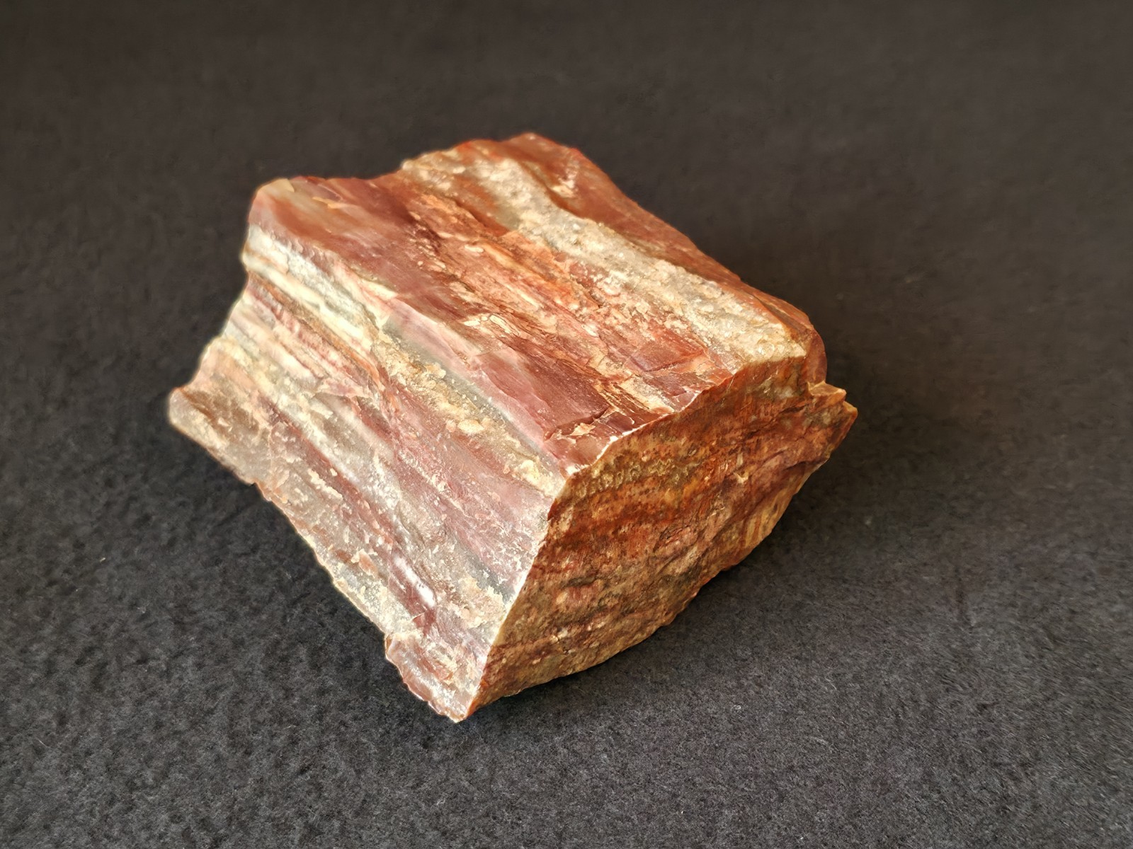 1 Pound 1.7 Oz Chunk Of Petrified Wood With Quartz From Northeastern Arizona 1 Pound 1.7 Oz Chunk Of Petrified Wood With Quartz From Northeastern Arizona