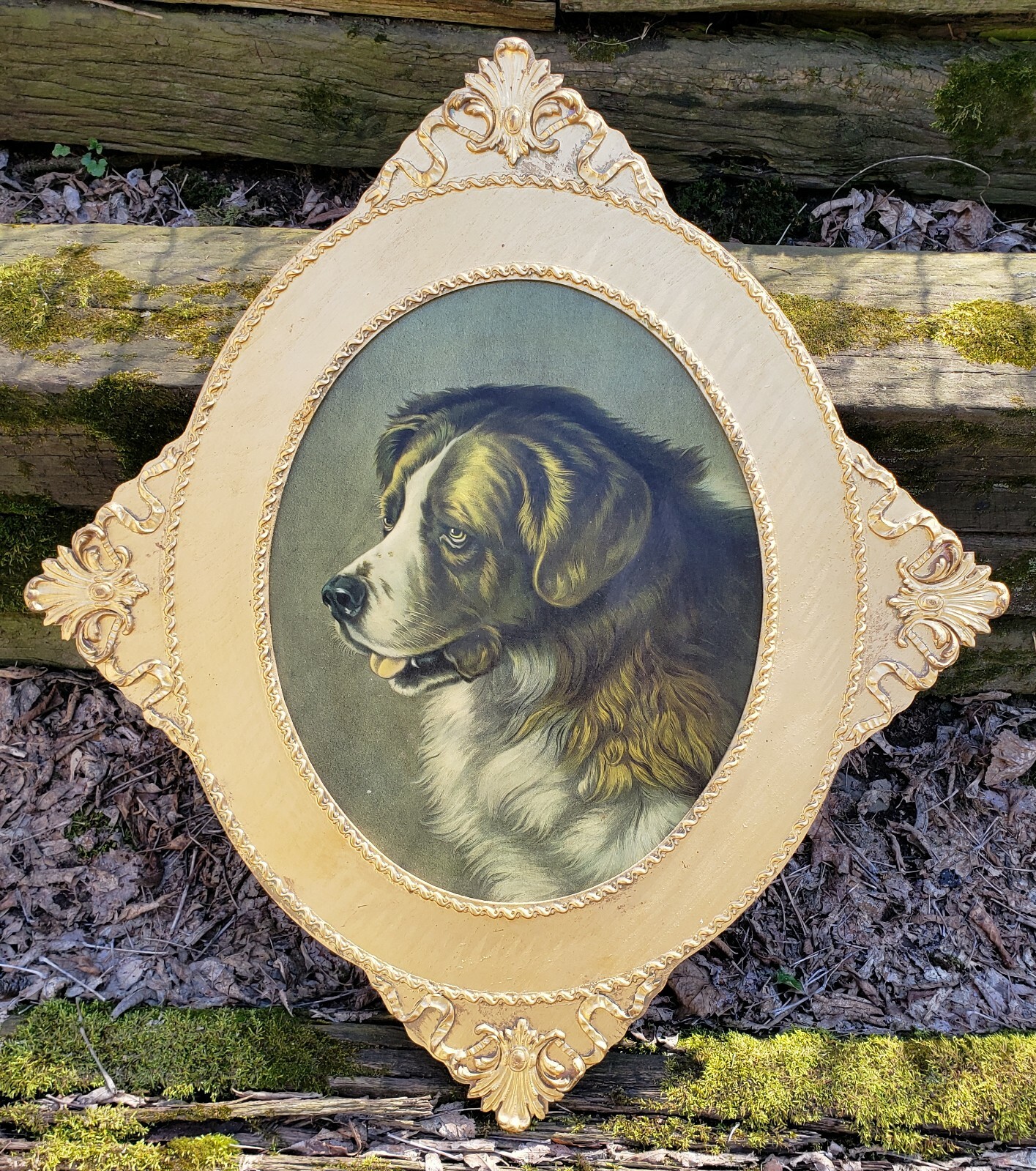 Large Antique Saint St. Bernard Dog Bayard Portrait Chromolithograph Frank Paton Large Antique Saint St. Bernard Dog Bayard Portrait Chromolithograph Frank Paton