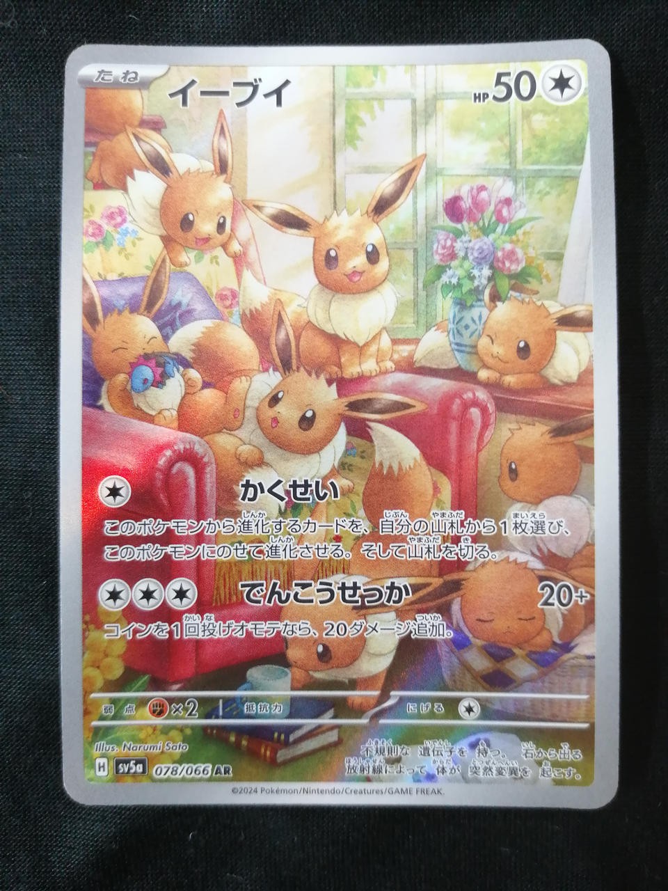 Eevee Model Number 078/066 Pokemon Company Eevee Model Number 078/066 Pokemon Company