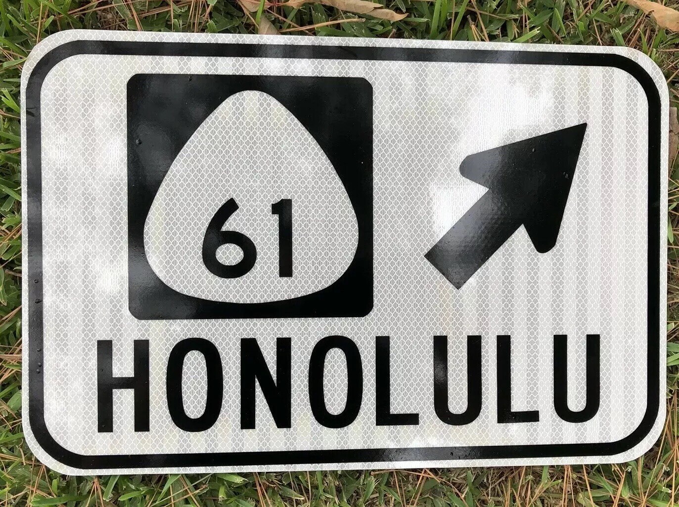 HONOLULU HAWAII road sign Highway 61 Beach volcano -  12"x18"  