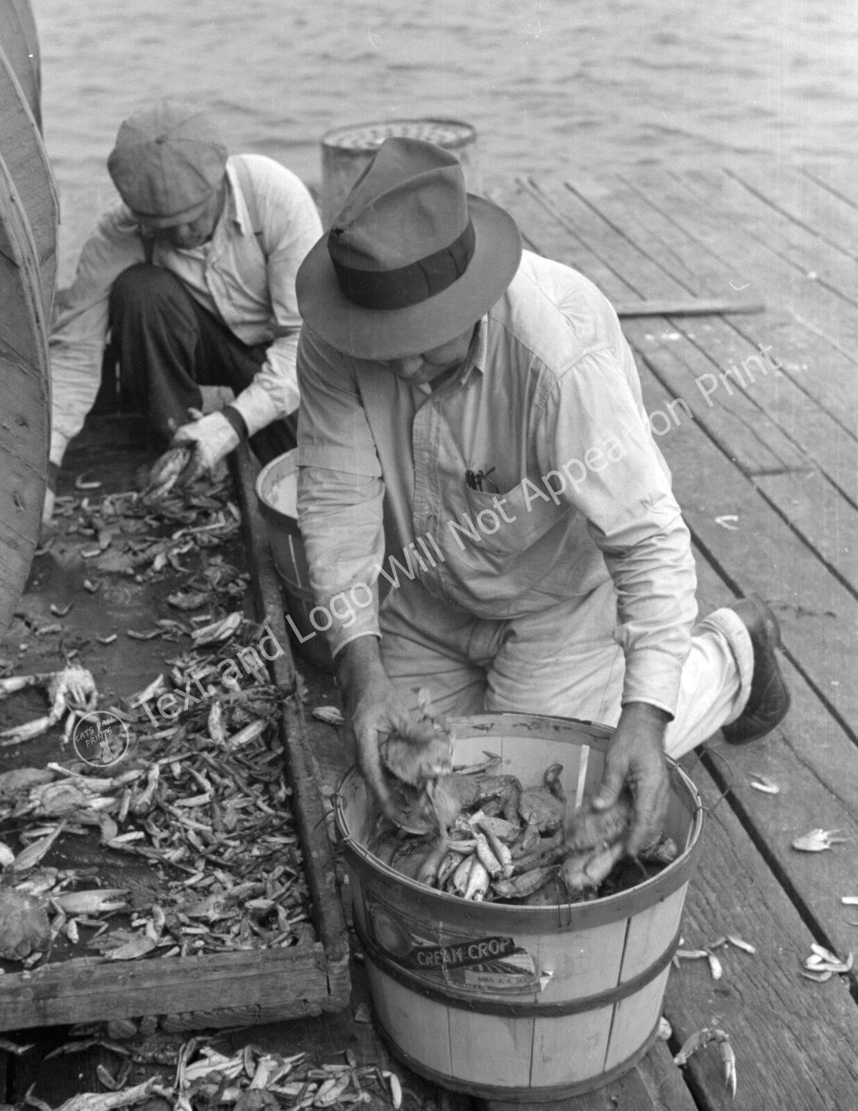 1941 Men Sorting Cooked Crabs, Rock Point, Maryland Old Photo 8.5\