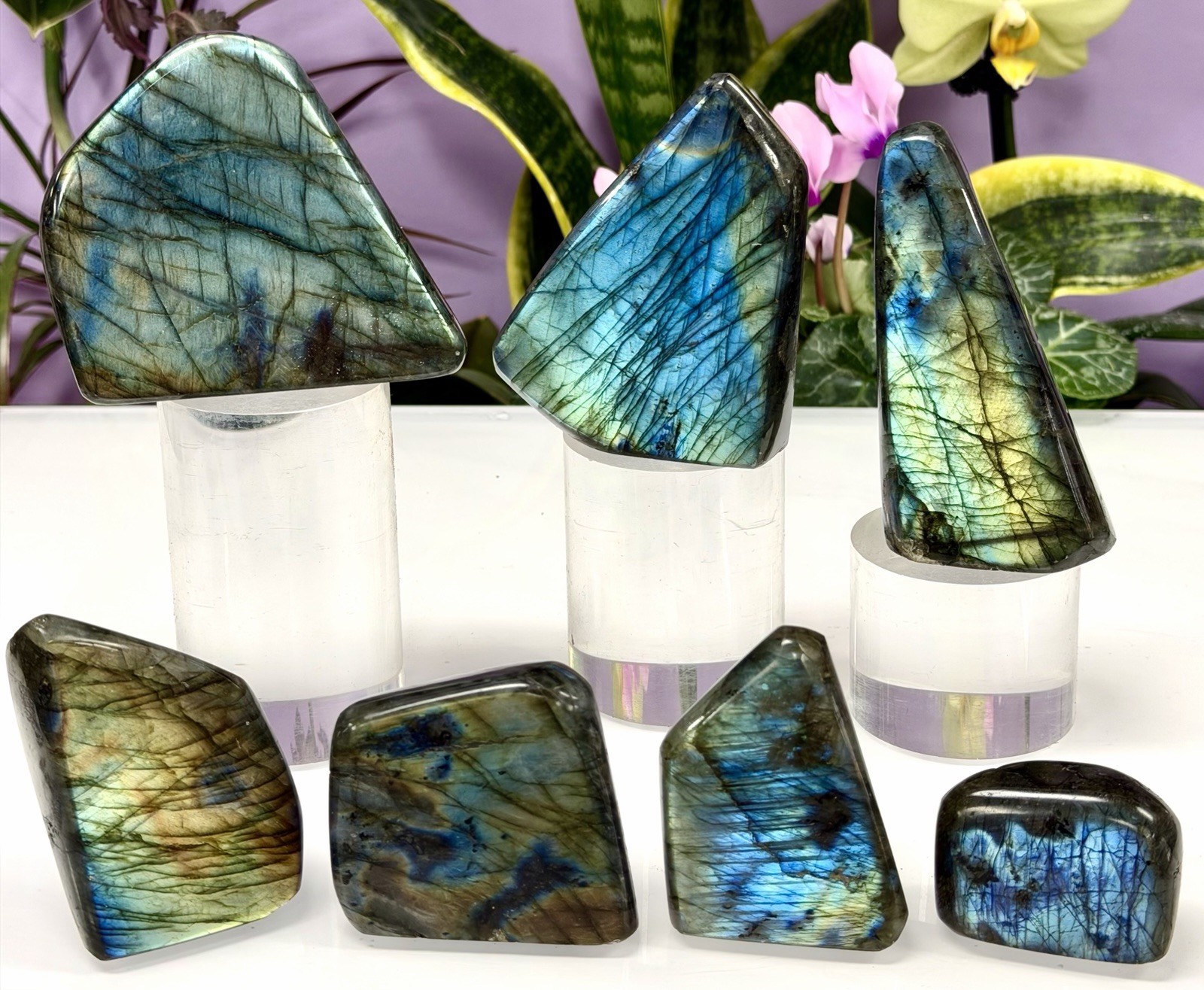 Wholesale Lot 3 Lbs Natural Labradorite Freeform Crystal Healing Energy Wholesale Lot 3 Lbs Natural Labradorite Freeform Crystal Healing Energy