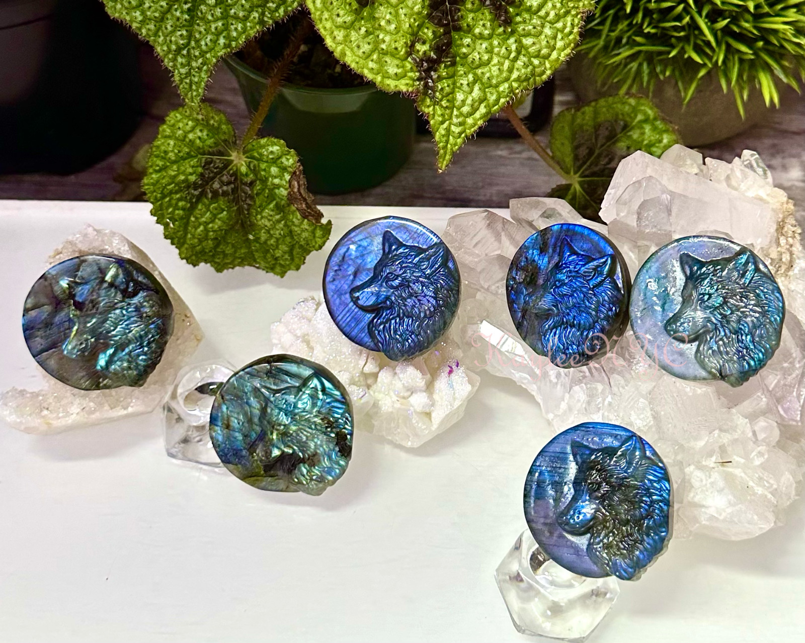 Wholesale Lot 6 PCs Natural Labradorite Wolf Crystal Healing Energy Wholesale Lot 6 PCs Natural Labradorite Wolf Crystal Healing Energy