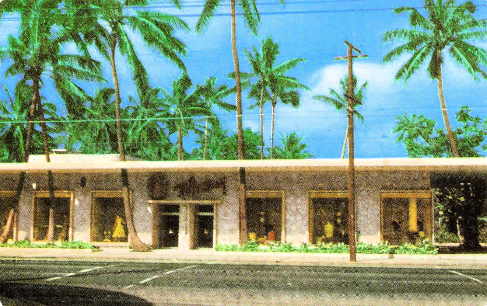 Honolulu HI Hawaii McInerny Waikiki Clothing Store Palm Trees Vtg Postcard 12A Honolulu HI Hawaii McInerny Waikiki Clothing Store Palm Trees Vtg Postcard 12A