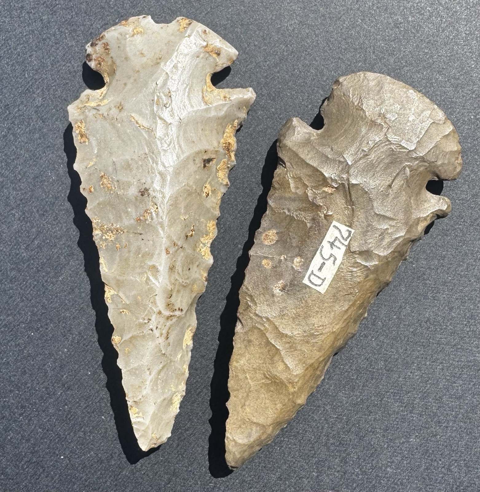 Pair Of Killer Dovetail Arrowhead Artifacts Largest Is 3 Inches Long MOTLEY COA Pair Of Killer Dovetail Arrowhead Artifacts Largest Is 3 Inches Long MOTLEY COA