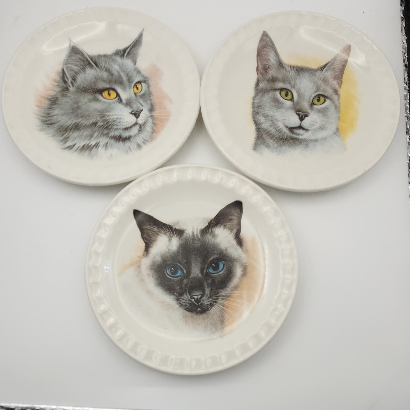 Vintage Royal Falcon Ware Cat Plates Set of 3 Weatherby Hanley England 1978