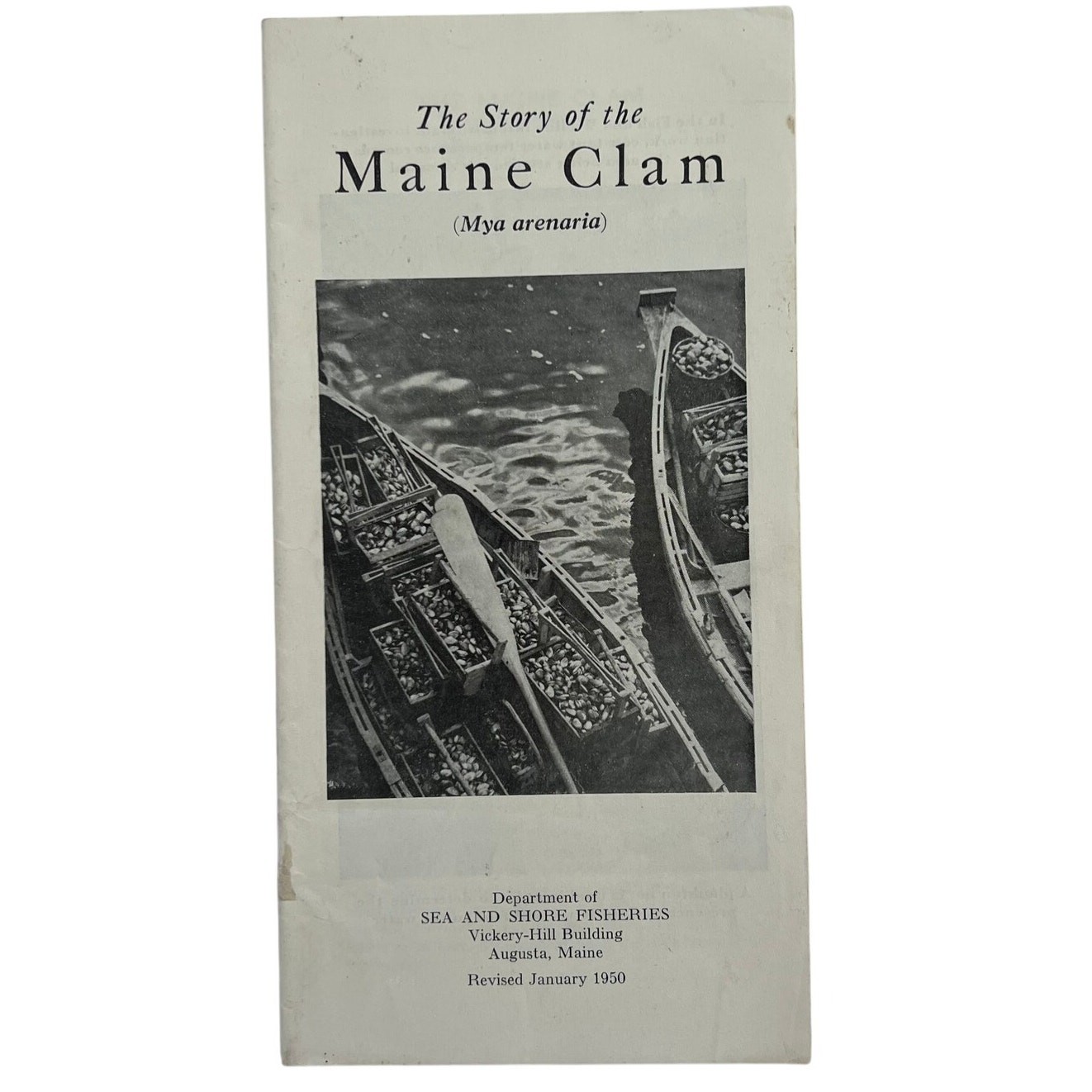 Vintage 1950 Story of the Maine Clam Booklet Sea and Shore Fisheries