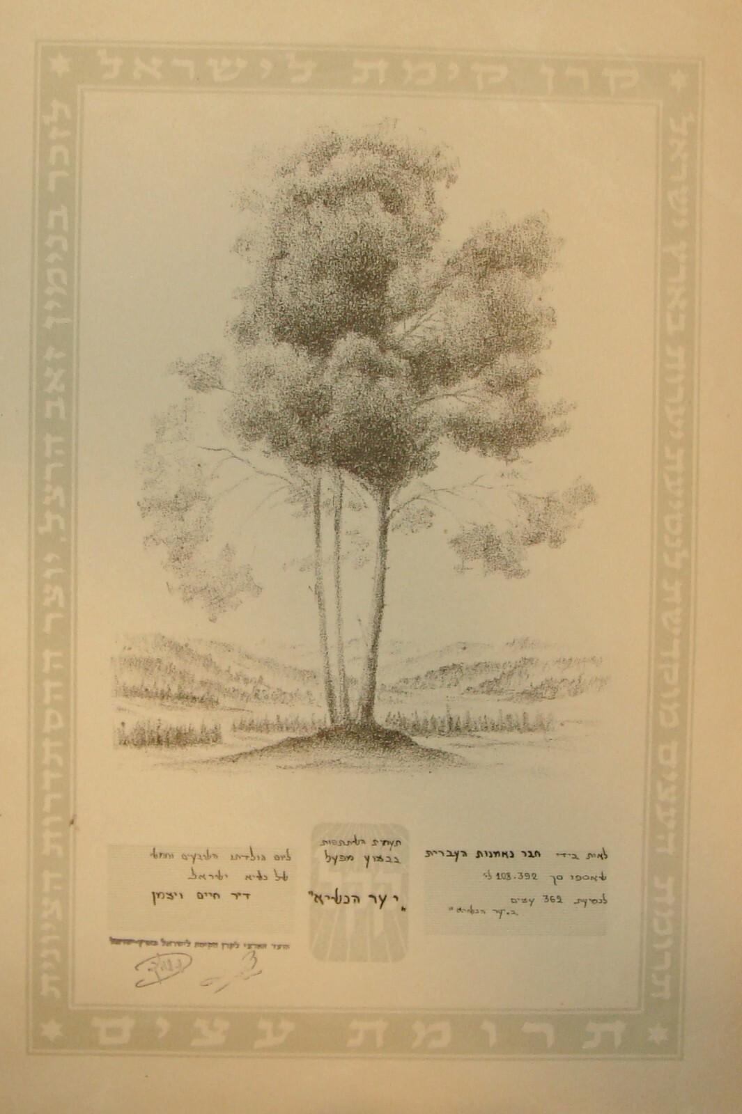 Pol National Fund Jewish 1949 Israel President Weizmann Forest Certificate Herzl Pol National Fund Jewish 1949 Israel President Weizmann Forest Certificate Herzl