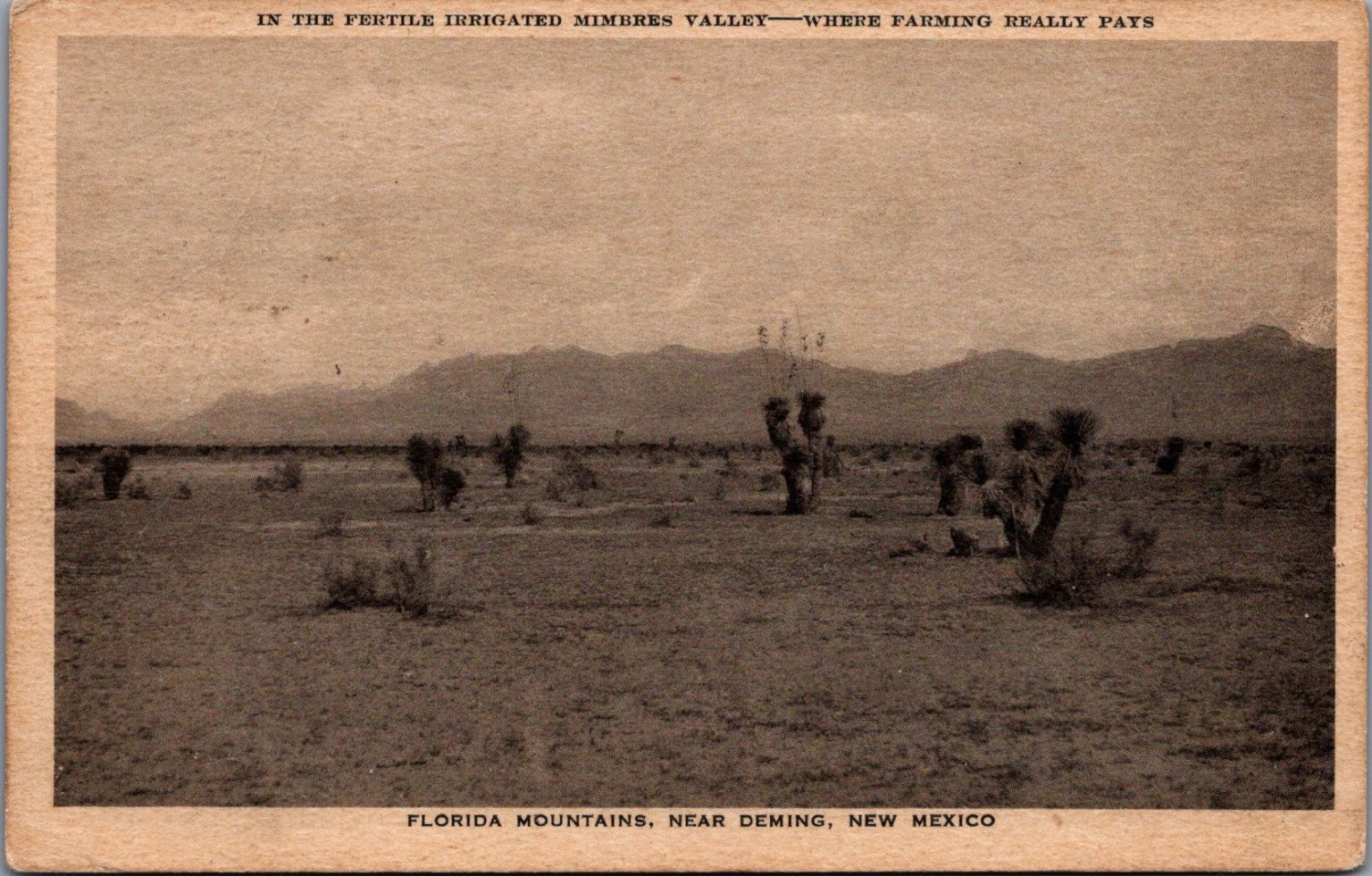 1932 New Mexico Postcard: Florida Mountains, Deming, Mimbres Valley Desert