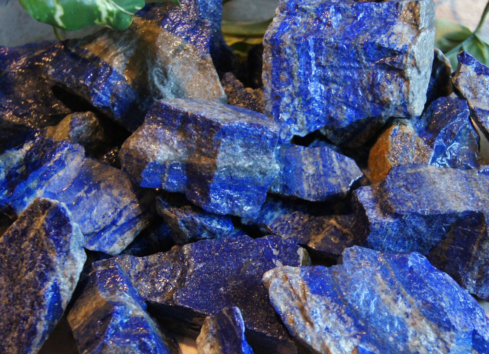 Lapis lazuli 1/2 LB Lot Gemstones Minerals Specimens Cabbing Rough Lapidary rock Lapis lazuli 1/2 LB Lot Gemstones Minerals Specimens Cabbing Rough Lapidary rock