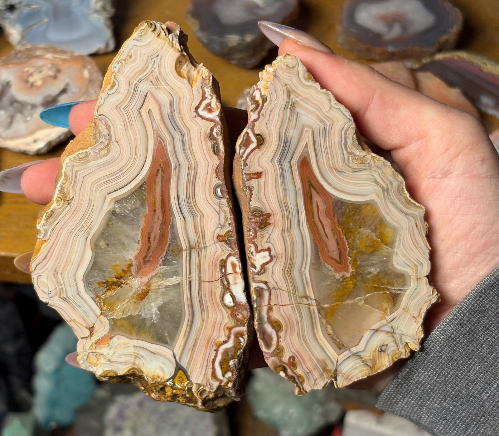 Rare Wave Hill Agate Pair | Collector Grade Australian Fortification Agate Rare Wave Hill Agate Pair | Collector Grade Australian Fortification Agate