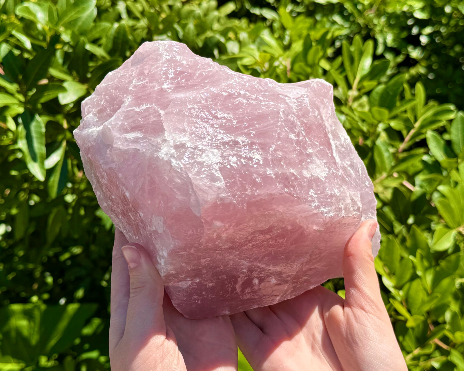 JUMBO Rose Quartz Natural Raw Crystals - Choose Size Huge Chunks (Love Stone) JUMBO Rose Quartz Natural Raw Crystals - Choose Size Huge Chunks (Love Stone)