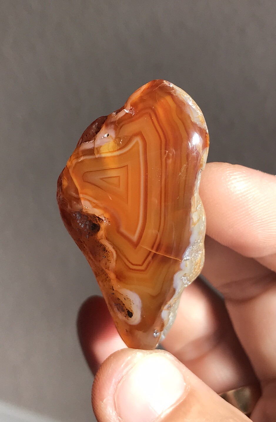 313 Carat Washington State Red Orange Carnelian Hand Polished Banded Agate 313 Carat Washington State Red Orange Carnelian Hand Polished Banded Agate