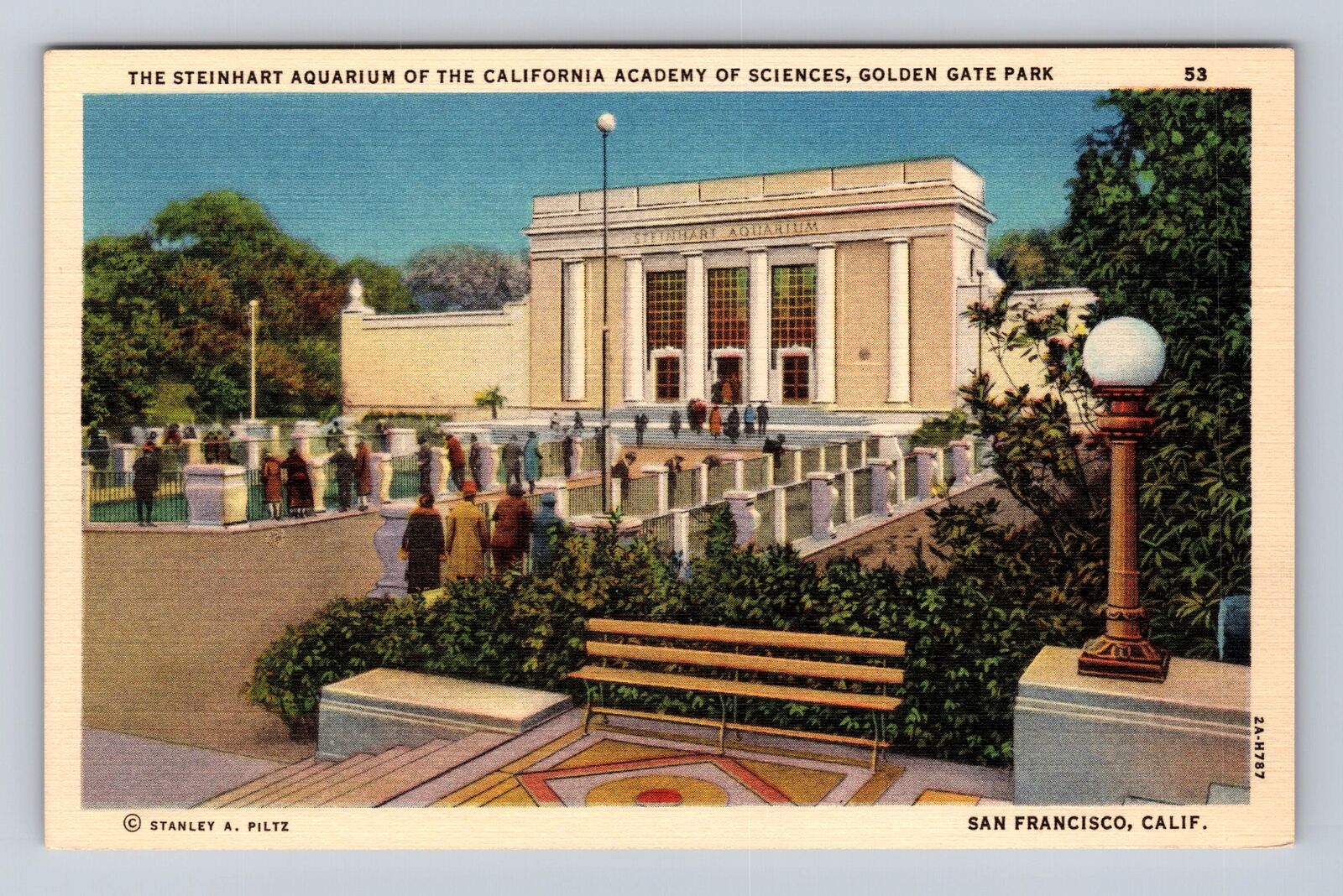 San Francisco CA-California, Steinhart Aquarium, Antique Vintage Postcard