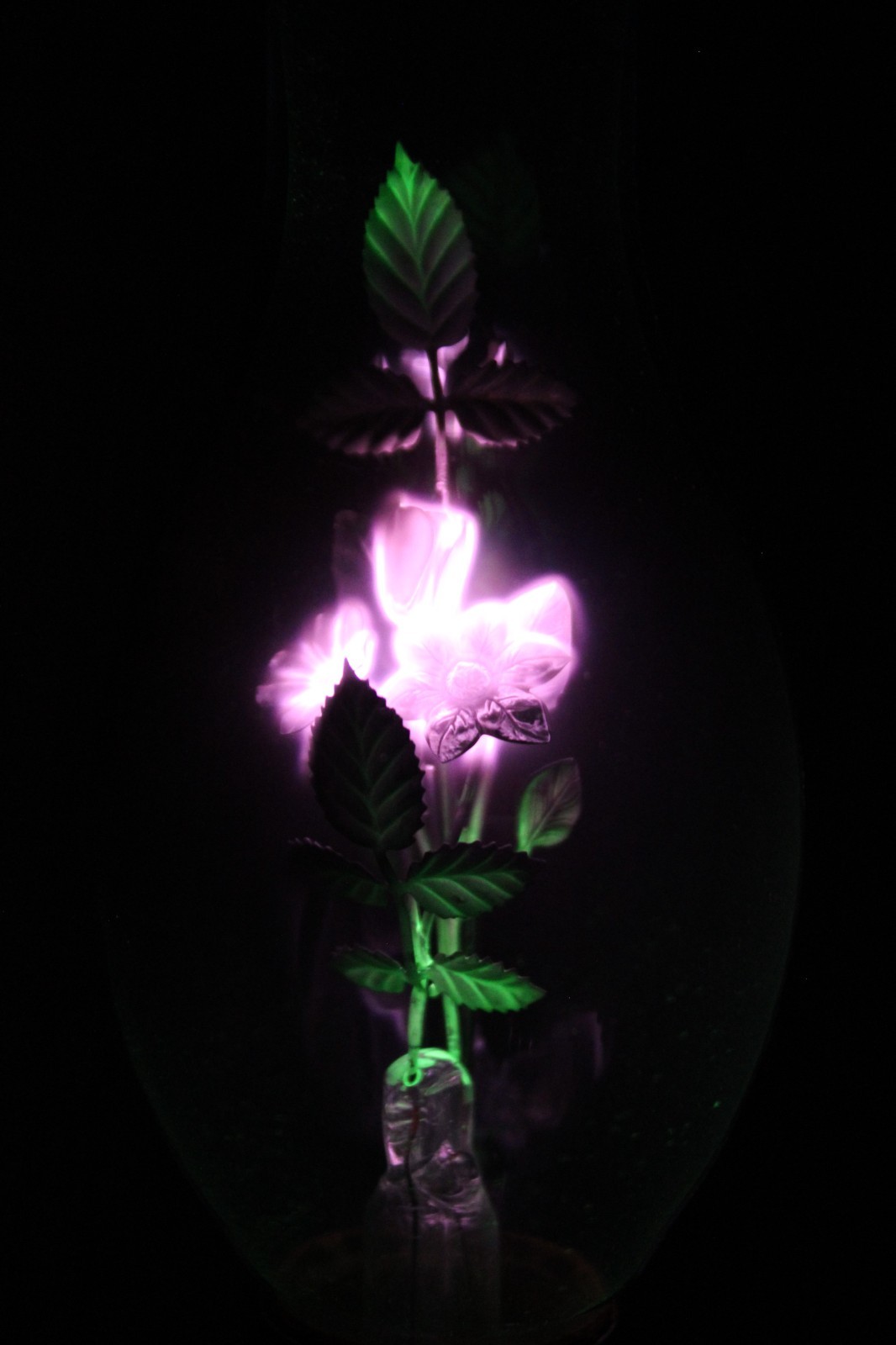 1960'S VINTAGE AEROLUX PURPLE & GREEN FLOWERS & LEAVES ARGON LIGHT BULB 1960'S VINTAGE AEROLUX PURPLE & GREEN FLOWERS & LEAVES ARGON LIGHT BULB