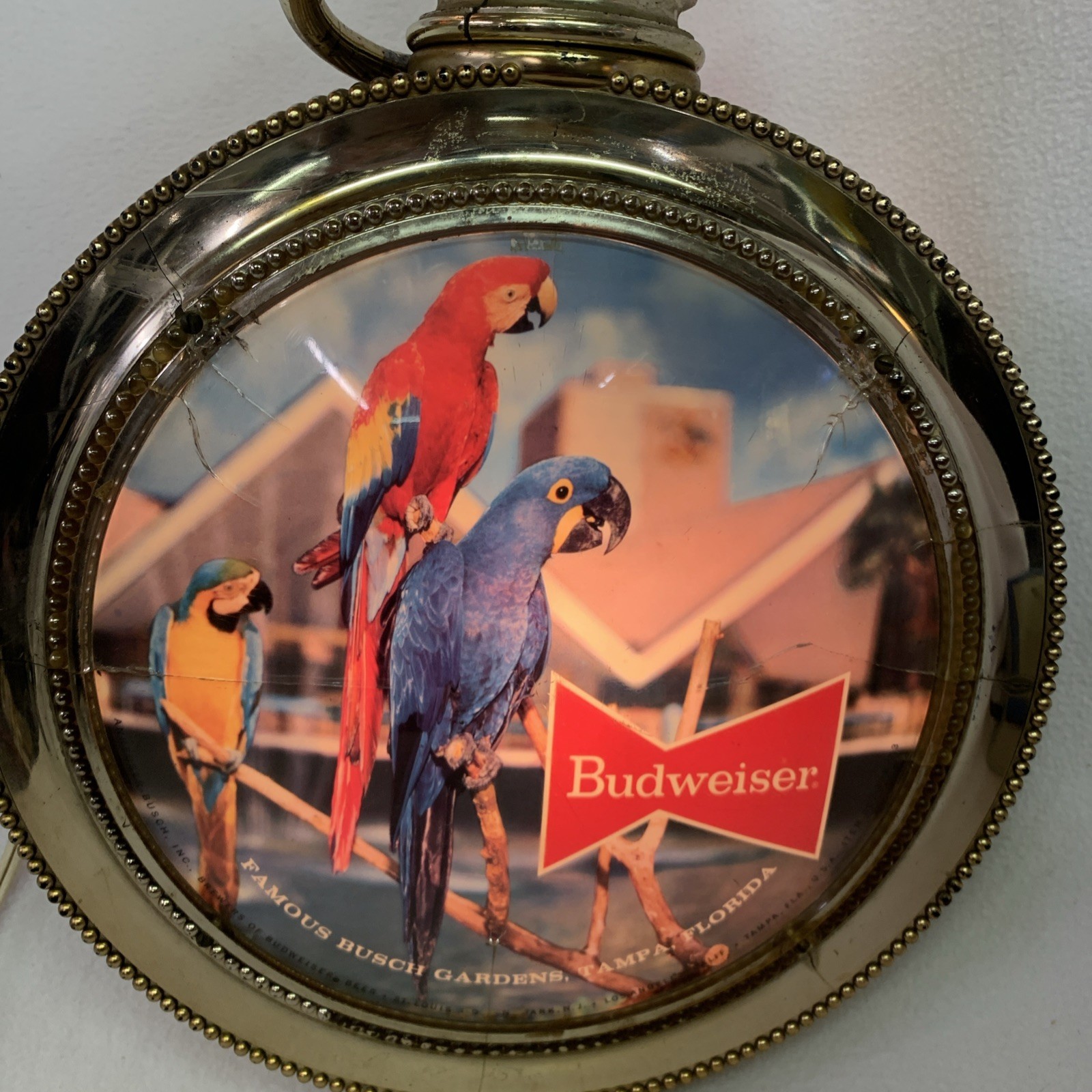 Vintage 1960’s Budweiser Beer Rotating Clock Light Busch Gardens Parrots (works) Vintage 1960’s Budweiser Beer Rotating Clock Light Busch Gardens Parrots (works)