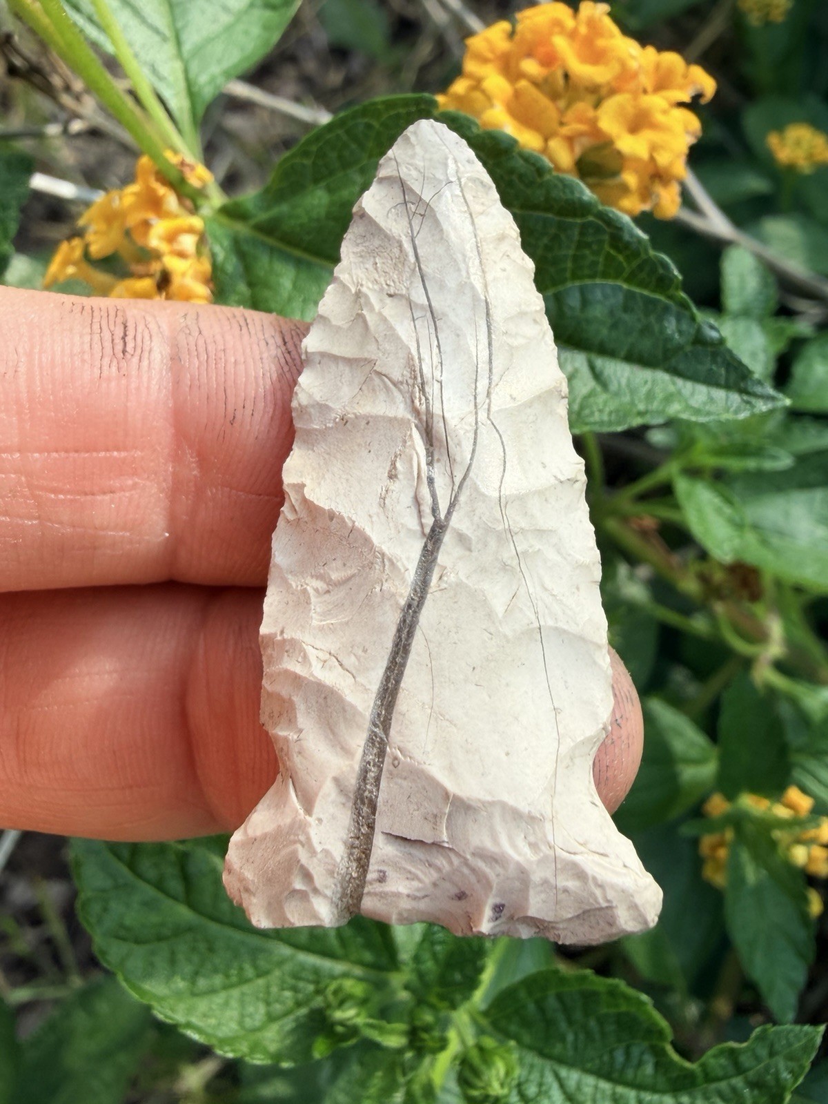 Orient Fishtail projectile point  (Perry County, Ohio arrowhead) Ex: Lar Hothem