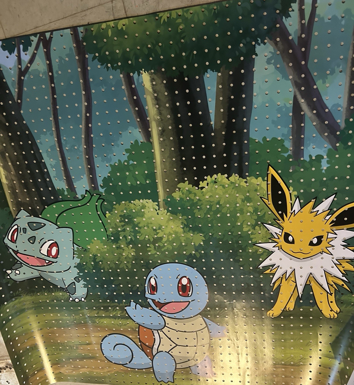 Pokemon Target Display Pokemon Target Display