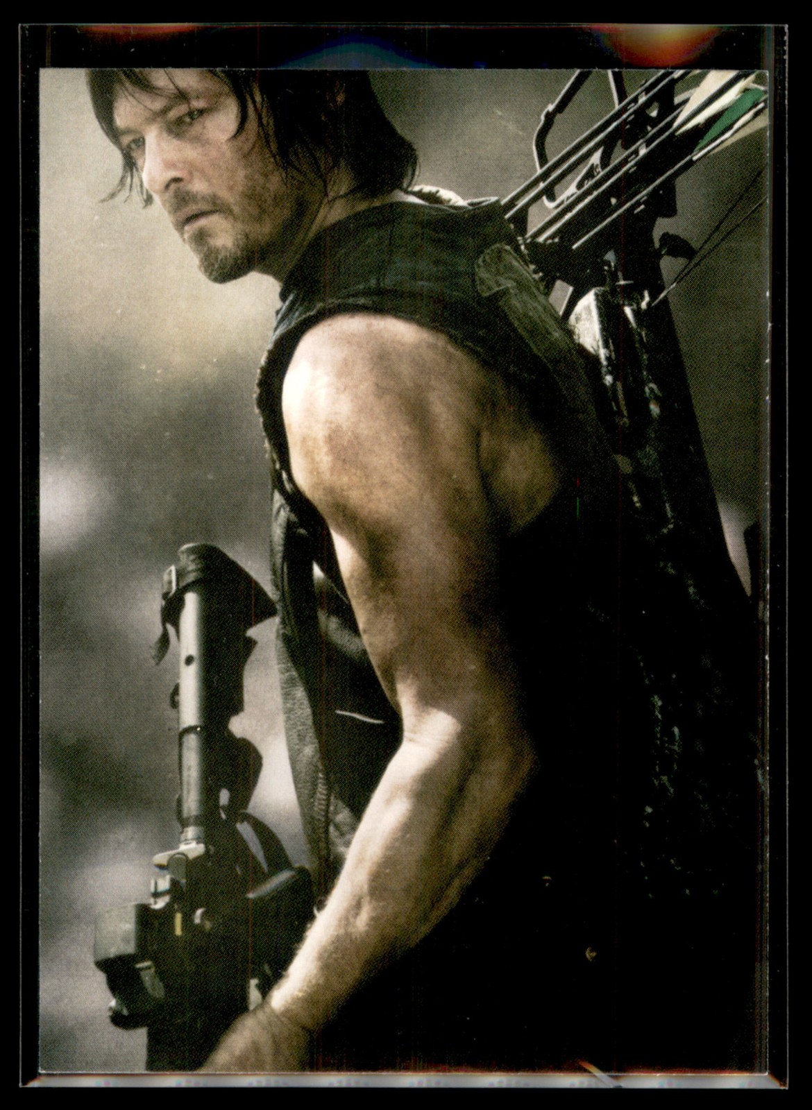 2016 Cryptozoic Walking Dead Season 4 Part 1 Poster #D3 Daryl Dixon