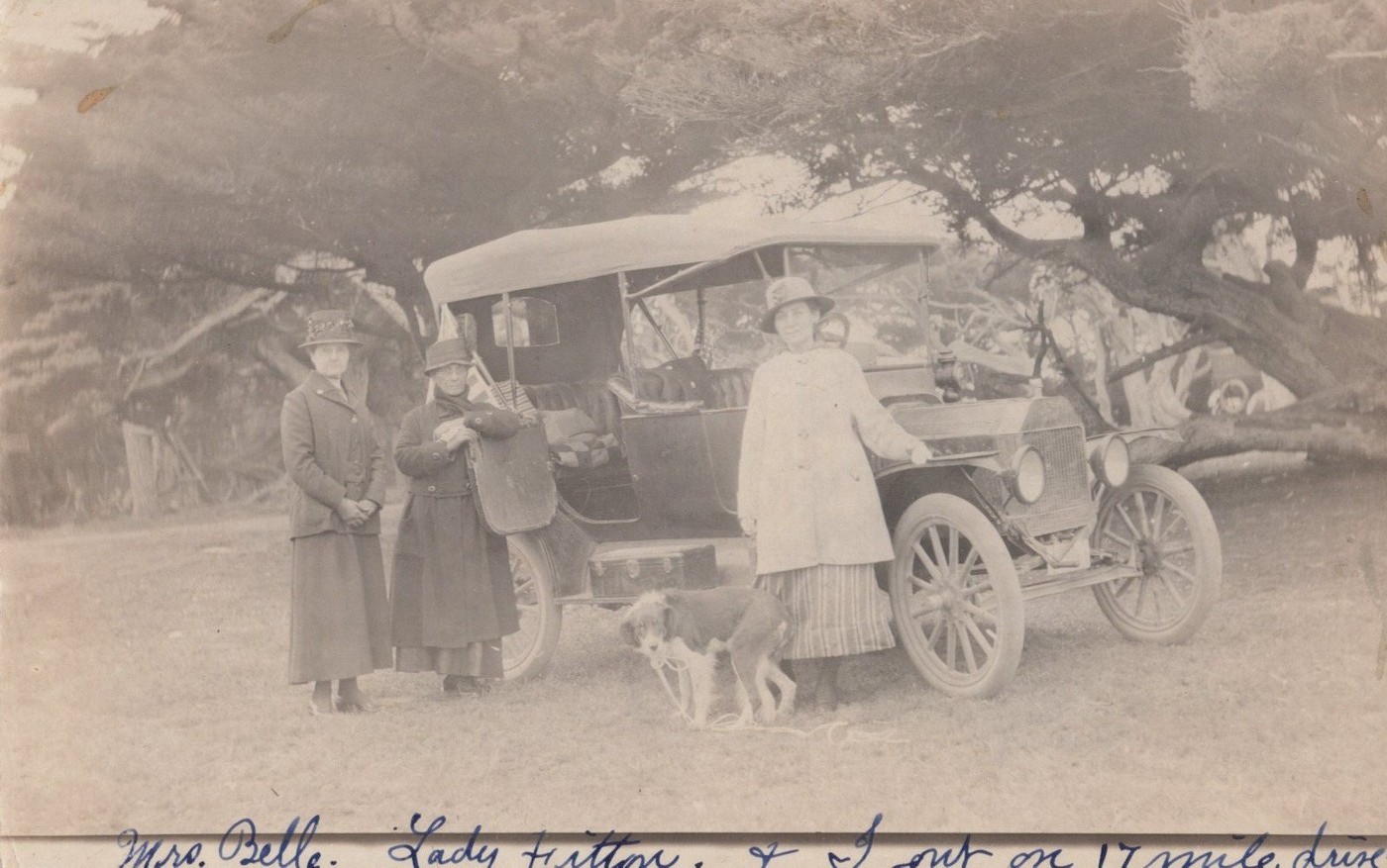 17 Mile Drive Monterey CA Ford Model T Cypress Tree 1915 - RPPC Photo Postcard 17 Mile Drive Monterey CA Ford Model T Cypress Tree 1915 - RPPC Photo Postcard