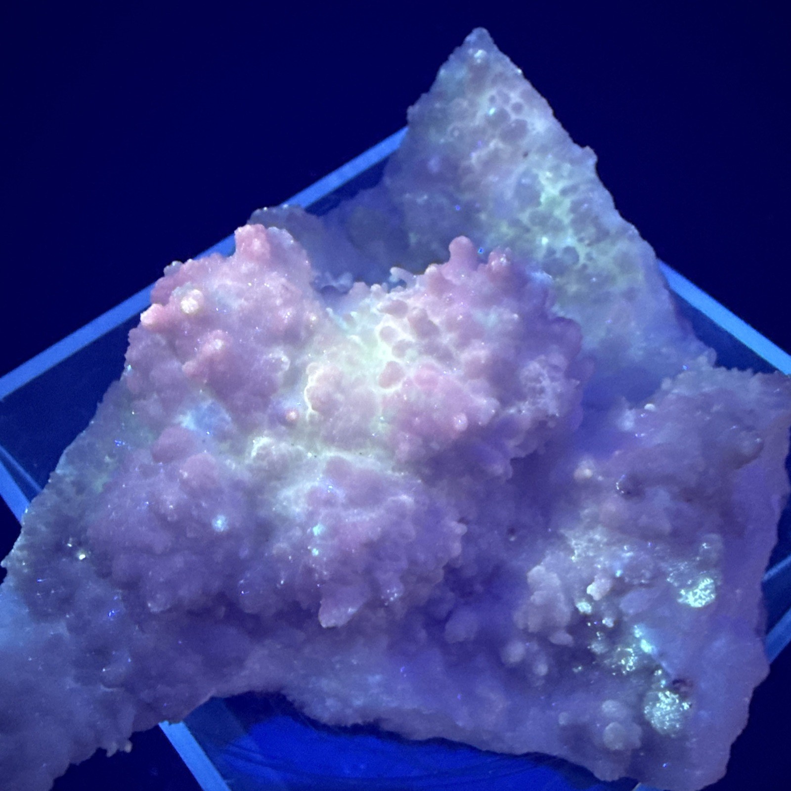 Natural Grateful Dead Calcite SpecimenAmazing UV👀.Minerals,Collector,Crystals Natural Grateful Dead Calcite SpecimenAmazing UV👀.Minerals,Collector,Crystals