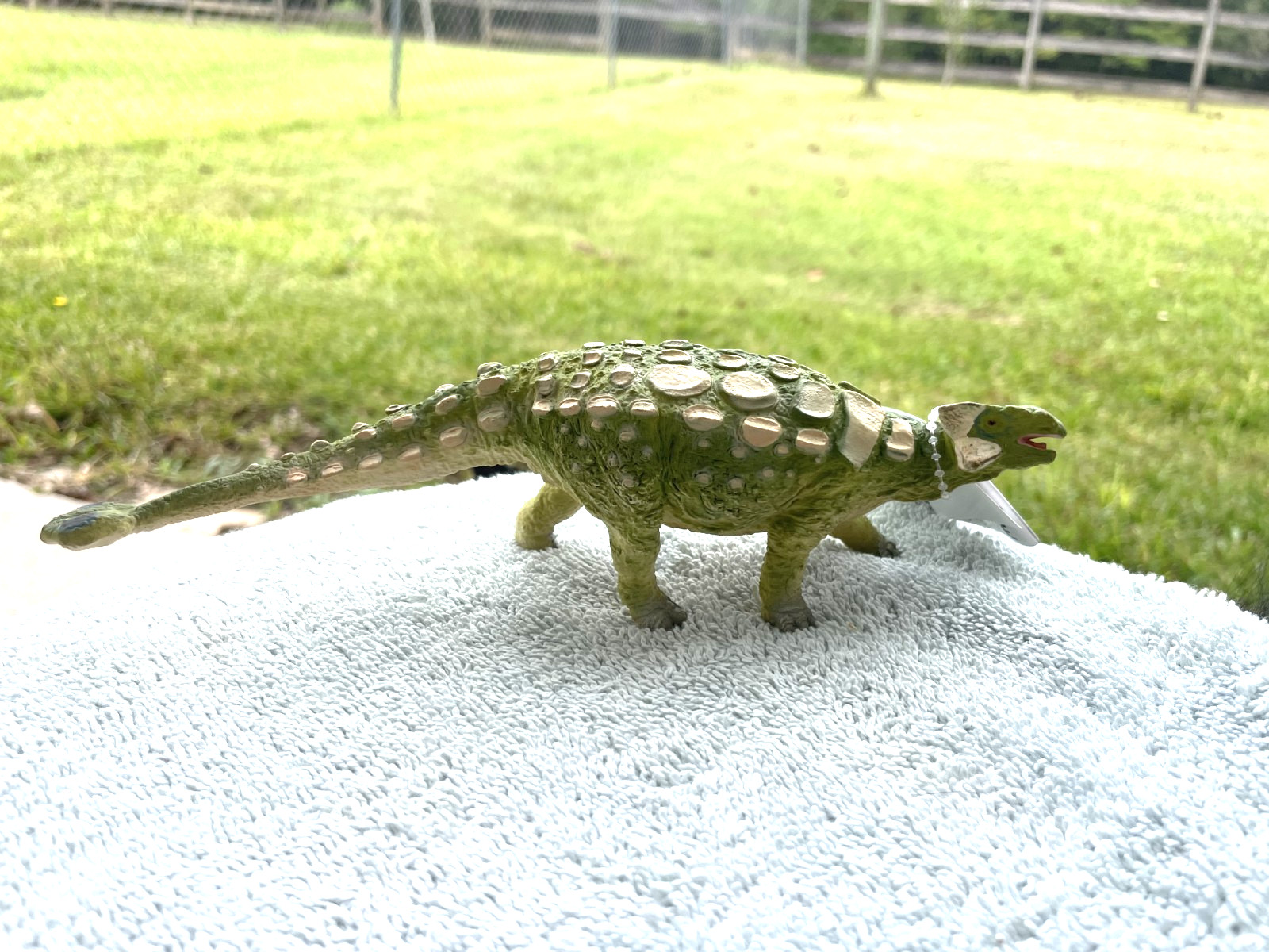ANKYLOSAURUS TOY DINOSAUR by Safari Ltd/Carnegie/404701/RETIRED/NEW w/ tag