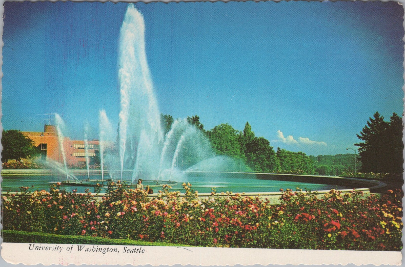 Seattle Washington WA Drumheller Fountain at the University 4x6 Postcard Seattle Washington WA Drumheller Fountain at the University 4x6 Postcard