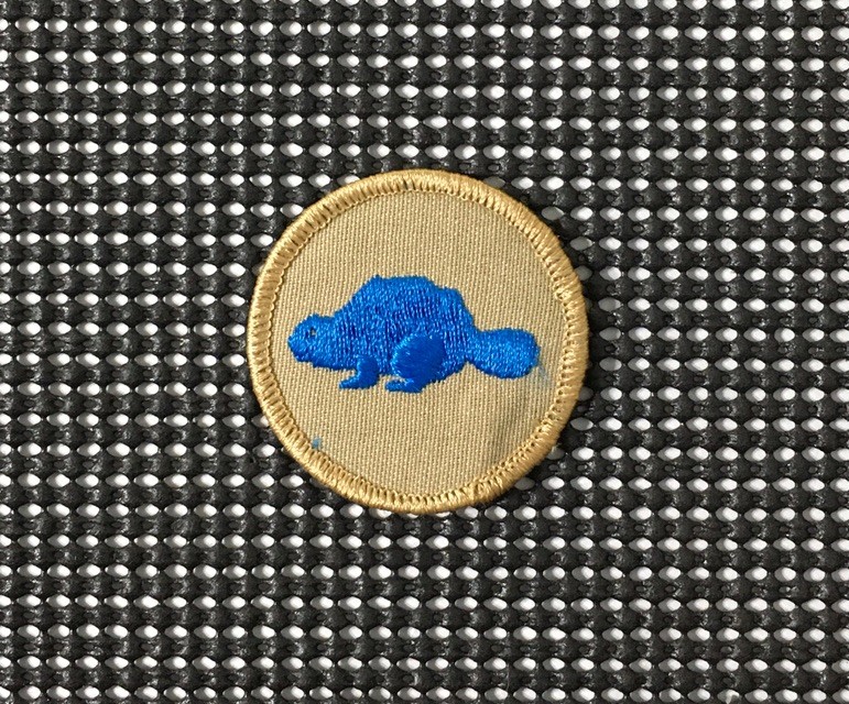Vintage BEAVER PATROL Boy Scouts Of America BSA Patch