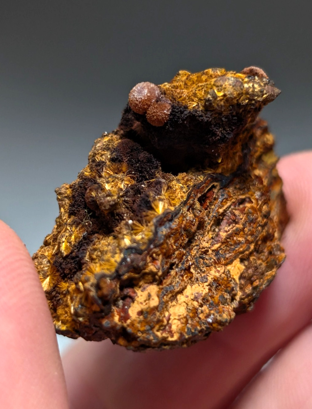 VERY RARE Strengite + Cacoxenite- Coon Creek, Polk County, Arkansas VERY RARE Strengite + Cacoxenite- Coon Creek, Polk County, Arkansas
