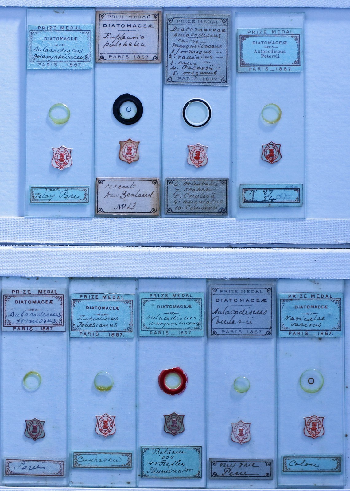 Set of 9 Antique Microscope Slides - Diatom Mounts by Cole Set of 9 Antique Microscope Slides - Diatom Mounts by Cole
