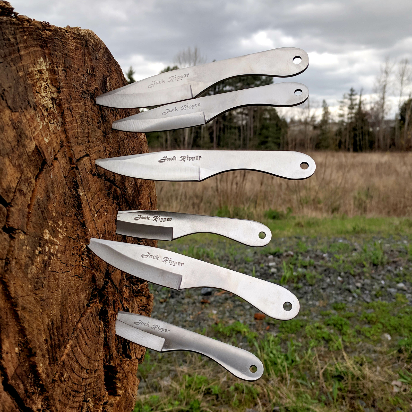 6pc Professional Jack Ripper Throwing Knife Set 440 Stainless Steel with Sheath 6pc Professional Jack Ripper Throwing Knife Set 440 Stainless Steel with Sheath
