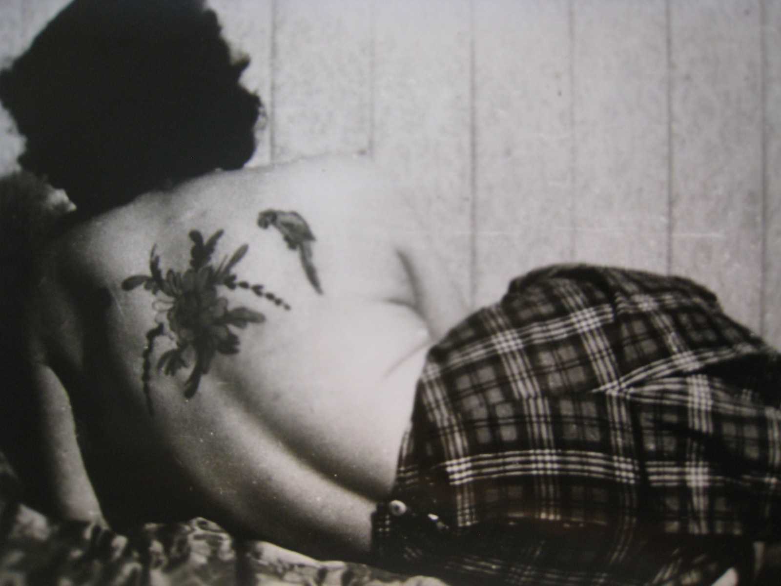 Scarce, early, Photo ... , TATTOOED LADY ... KOBEL # T-559, back tattoo Scarce, early, Photo ... , TATTOOED LADY ... KOBEL # T-559, back tattoo