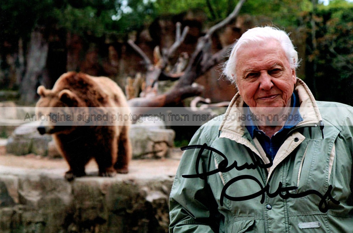Sir David Attenborough Natural Historian Signed 7.5 x 5 Photograph ***With COA** Sir David Attenborough Natural Historian Signed 7.5 x 5 Photograph ***With COA**