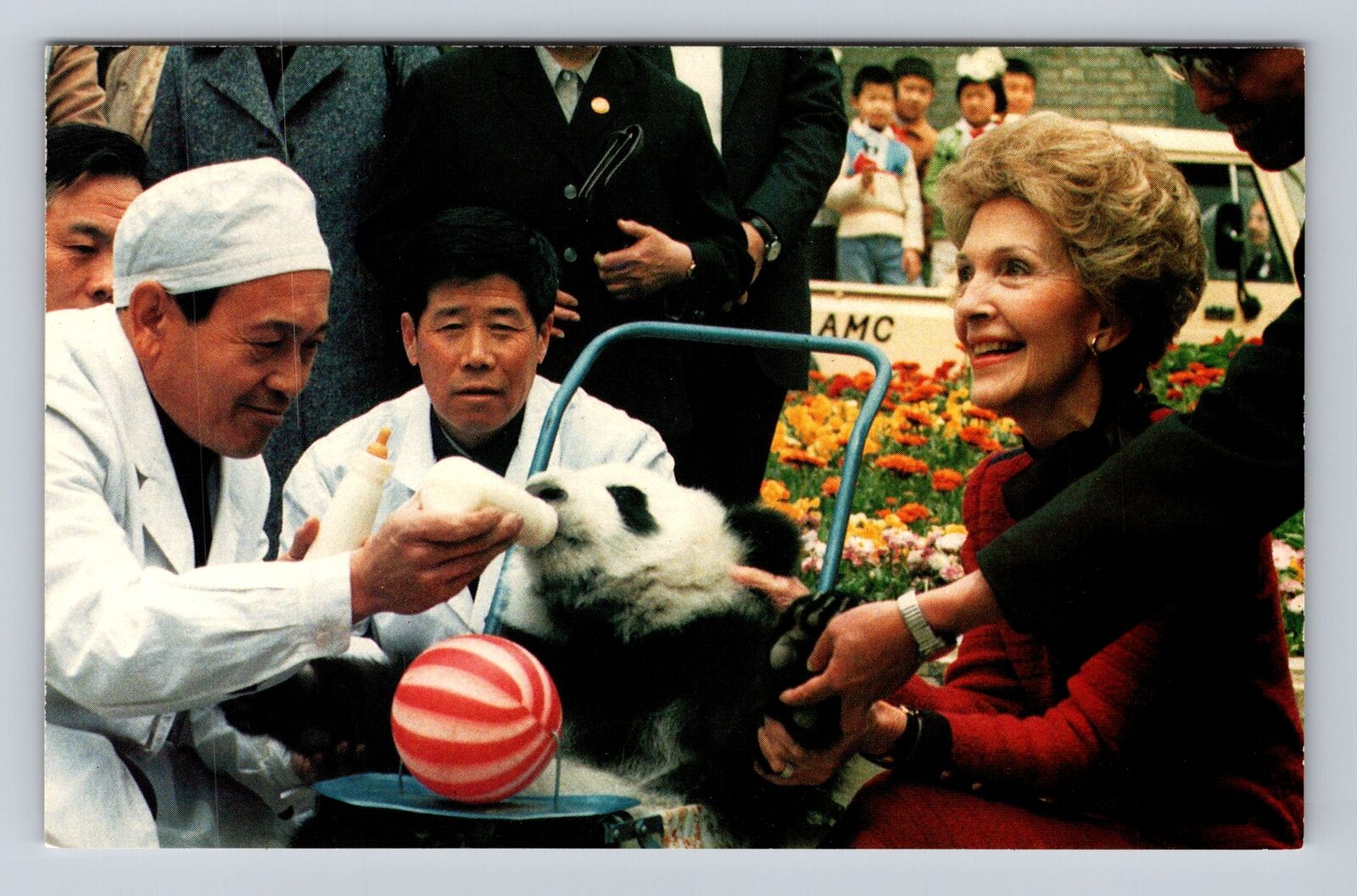 First Lady Nancy Reagan With Panda, People, Antique, Vintage Souvenir Postcard