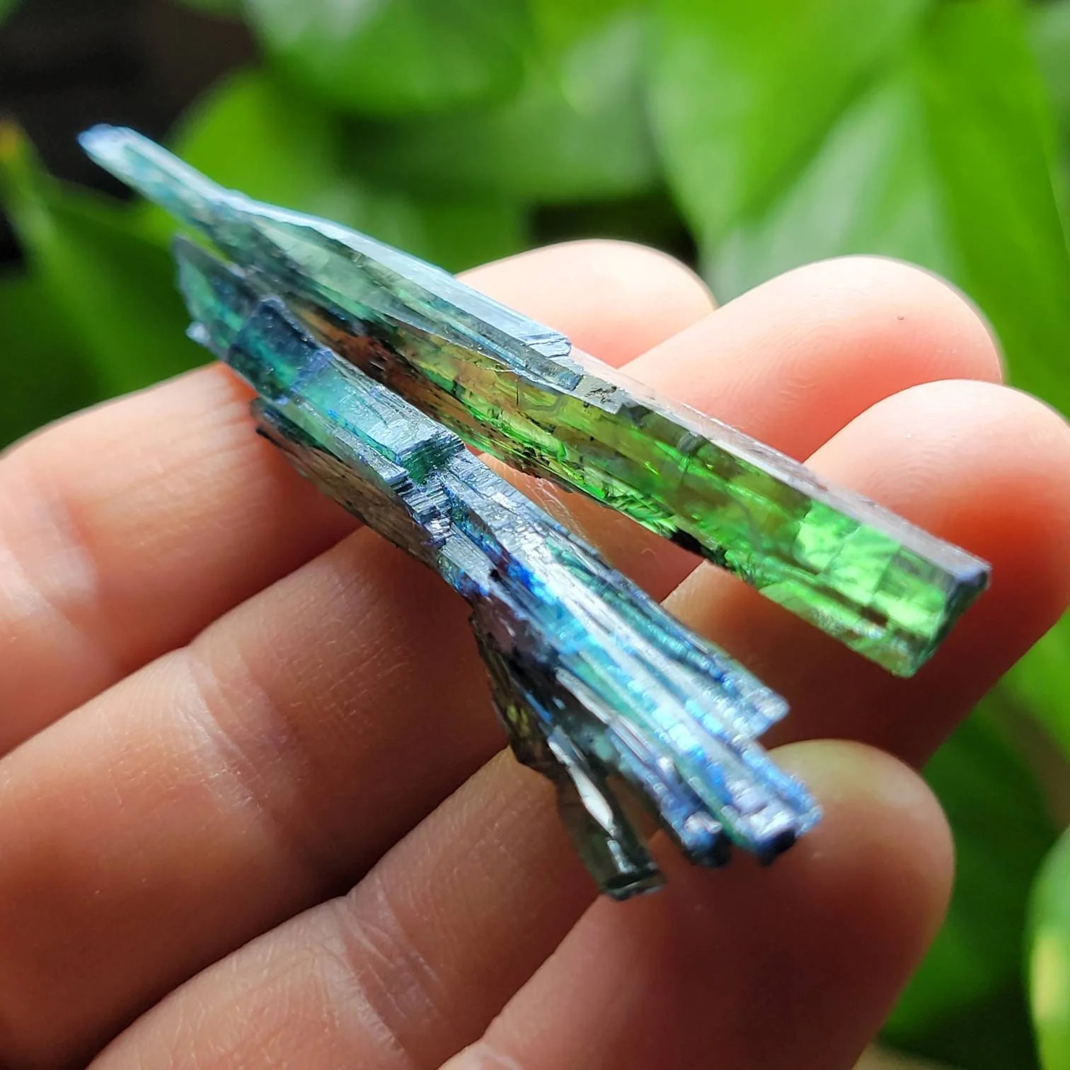 Vivianite Crystal Specimen, Choose your Size Vivianite Crystal Specimen, Choose your Size