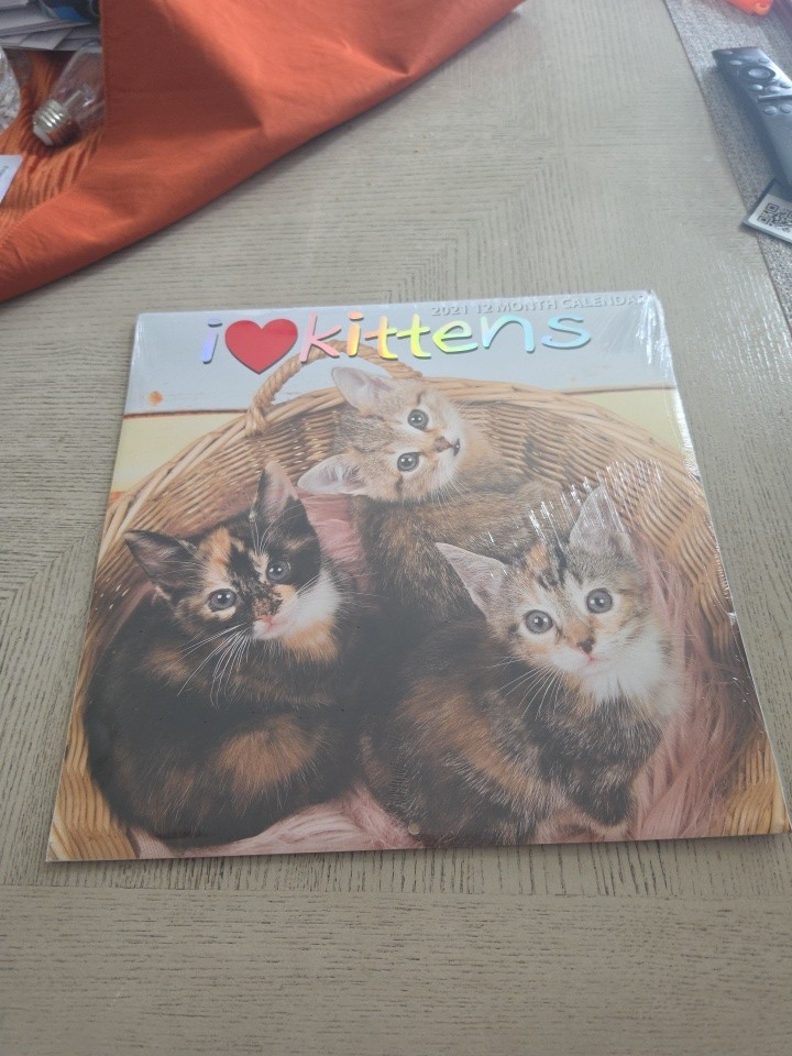 I Love Kittens 12 Month Wall Calendar 2021 12" X 24" New Sealed Beautiful Arts I Love Kittens 12 Month Wall Calendar 2021 12" X 24" New Sealed Beautiful Arts