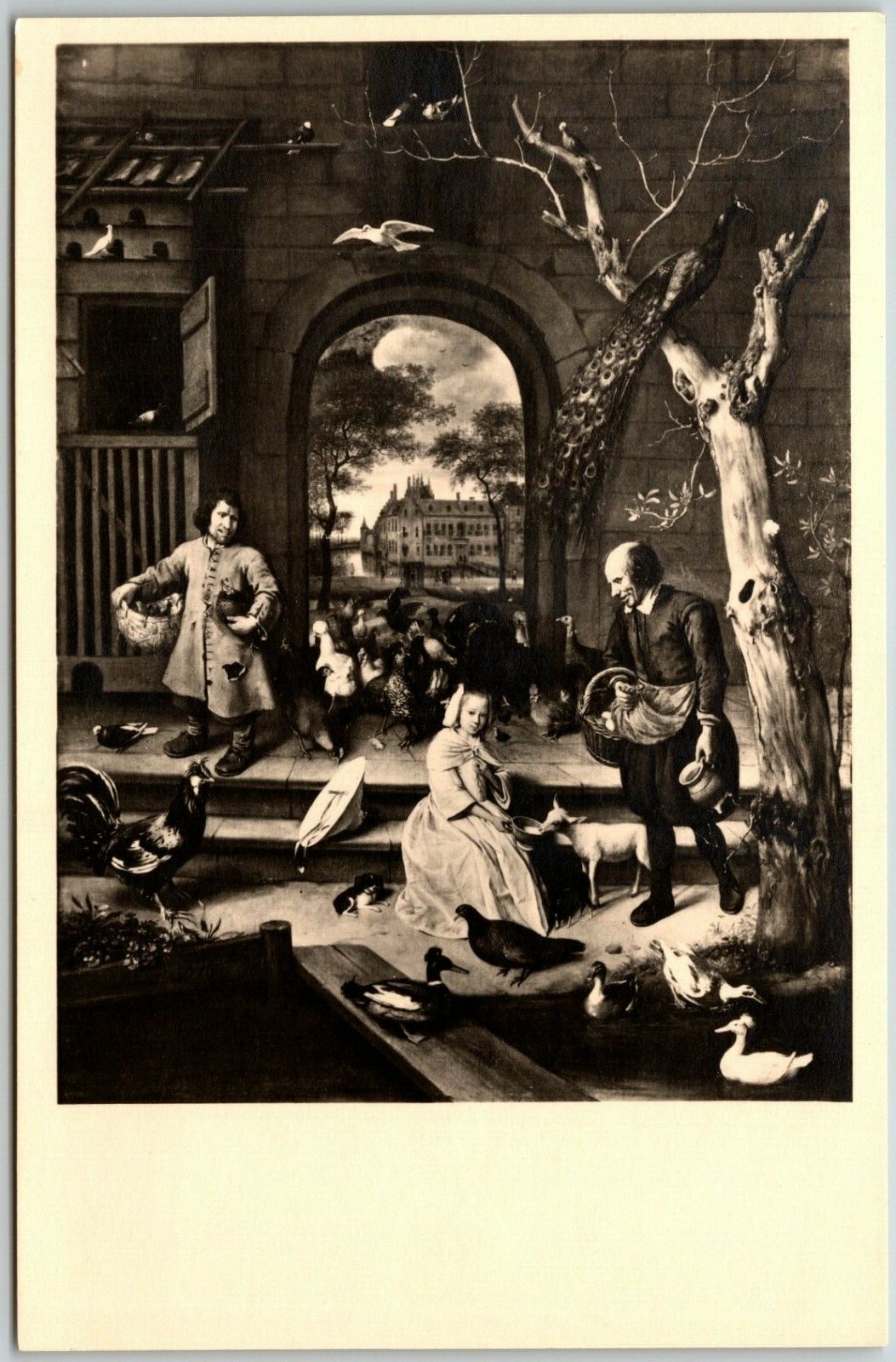 The Henhouse by Jan Steen, The Hague, Netherlands - Postcard The Henhouse by Jan Steen, The Hague, Netherlands - Postcard