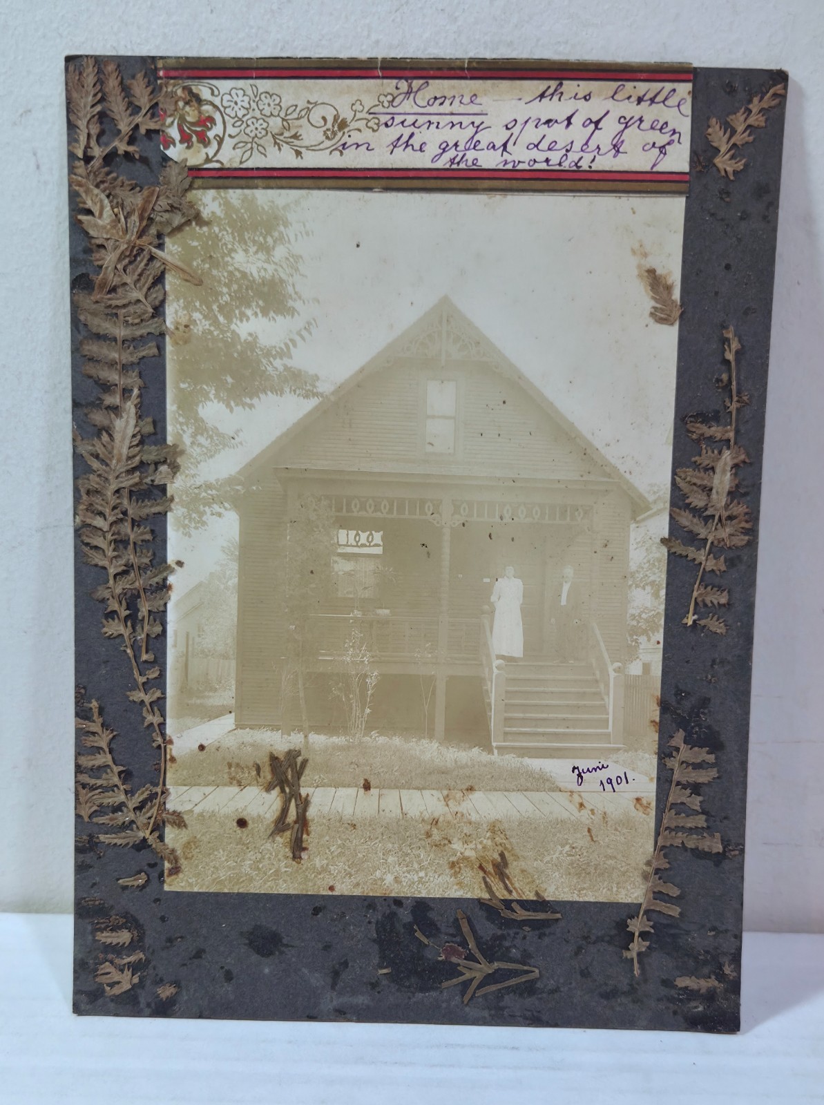 1901 Austin, Texas house history, old cabinet photo, ferns pasted on 1901 Austin, Texas house history, old cabinet photo, ferns pasted on