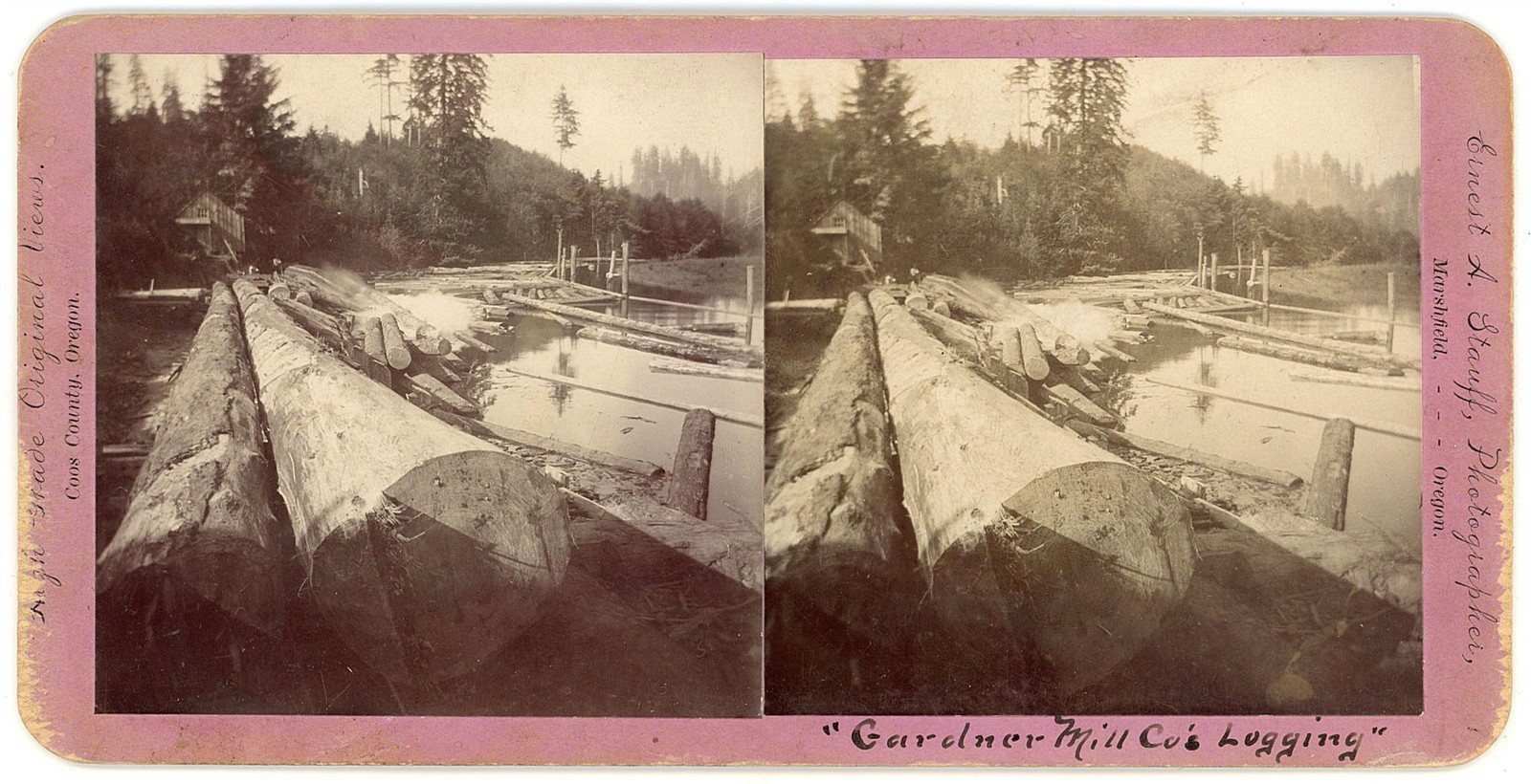 OREGON STEREOVIEW - Coos Bay - Gardner Mill Logging - EA Stauff 1880s OREGON STEREOVIEW - Coos Bay - Gardner Mill Logging - EA Stauff 1880s