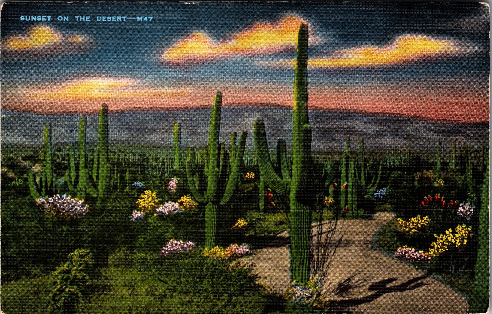 Vintage 1940s Arizona Sunset Desert Saguaro Cactus Linen Postcard Vintage 1940s Arizona Sunset Desert Saguaro Cactus Linen Postcard