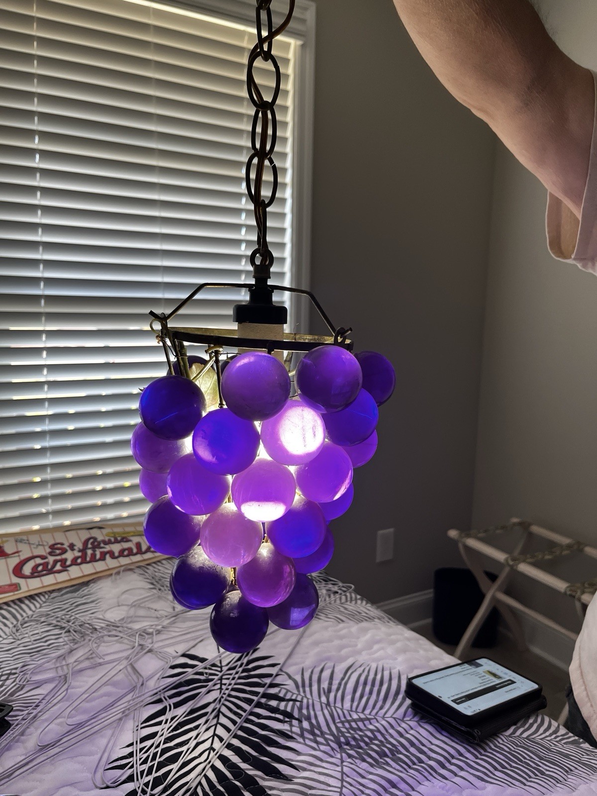 VTG MCM Lucite Purple Grape Hanging Gold Chain Grape Leaves Accent Light VTG MCM Lucite Purple Grape Hanging Gold Chain Grape Leaves Accent Light