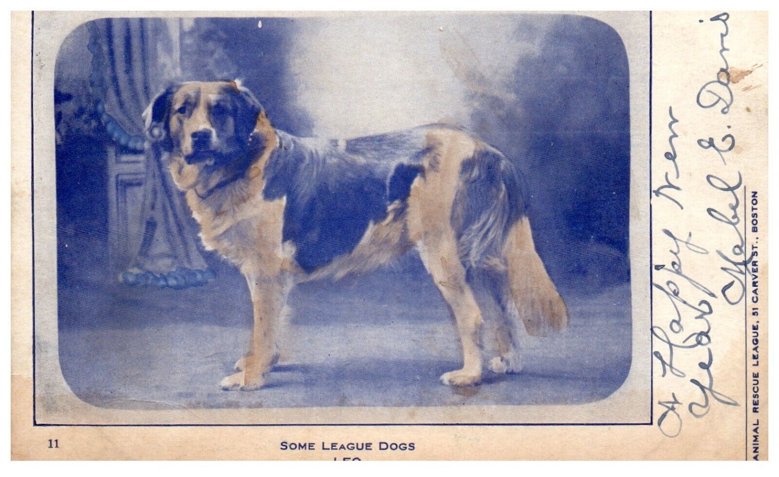 Animal Rescue League Boston LEO Dog Artist Postcard Posted 1906