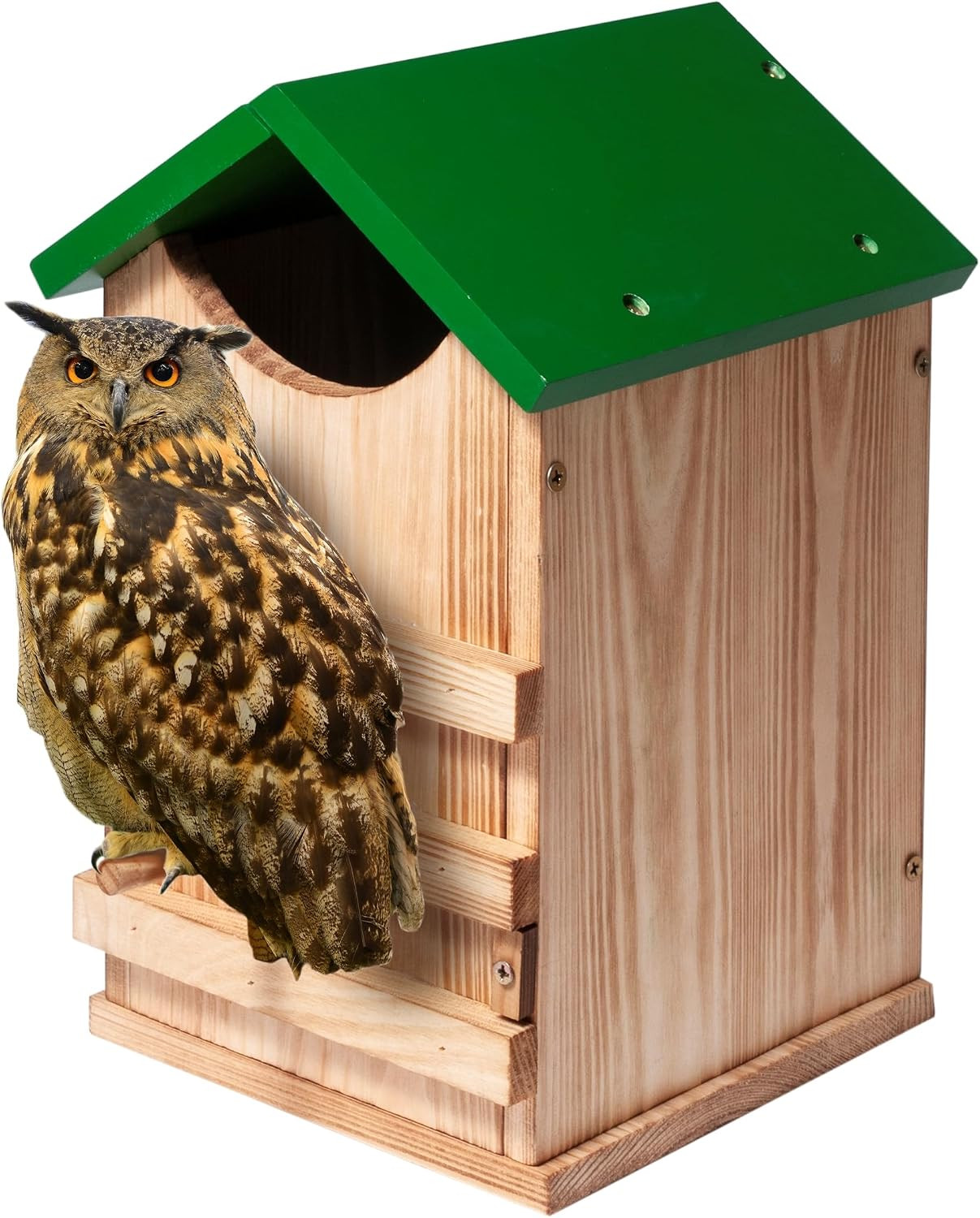Screech Owl House Owl Box with Bird Stand Design, Nesting Box Wood with Mounting Screech Owl House Owl Box with Bird Stand Design, Nesting Box Wood with Mounting