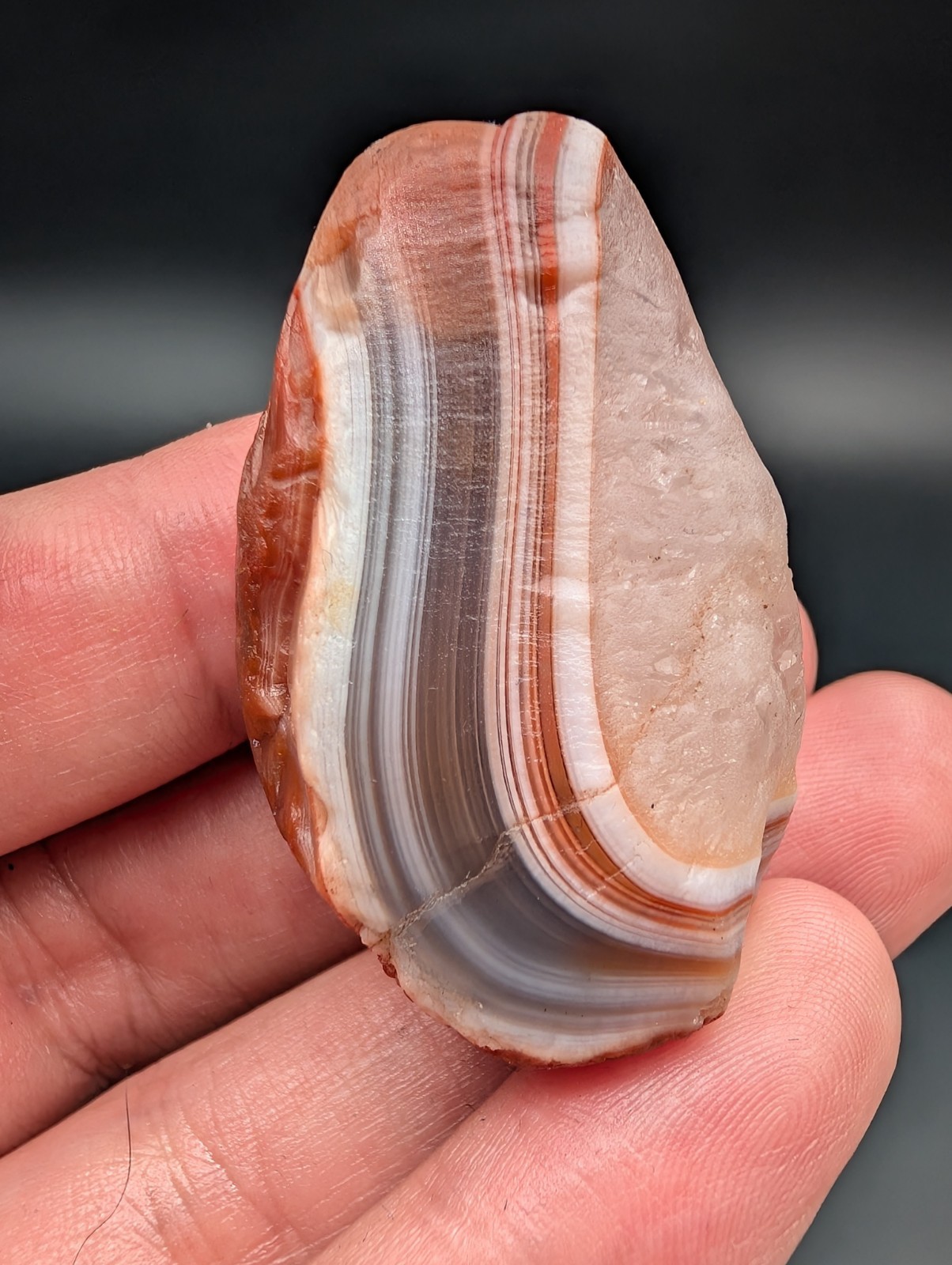 1.27 OZ BOLD RED WHITE BLUE BANDED LAKE SUPERIOR AGATE GEMSTONE 1.27 OZ BOLD RED WHITE BLUE BANDED LAKE SUPERIOR AGATE GEMSTONE