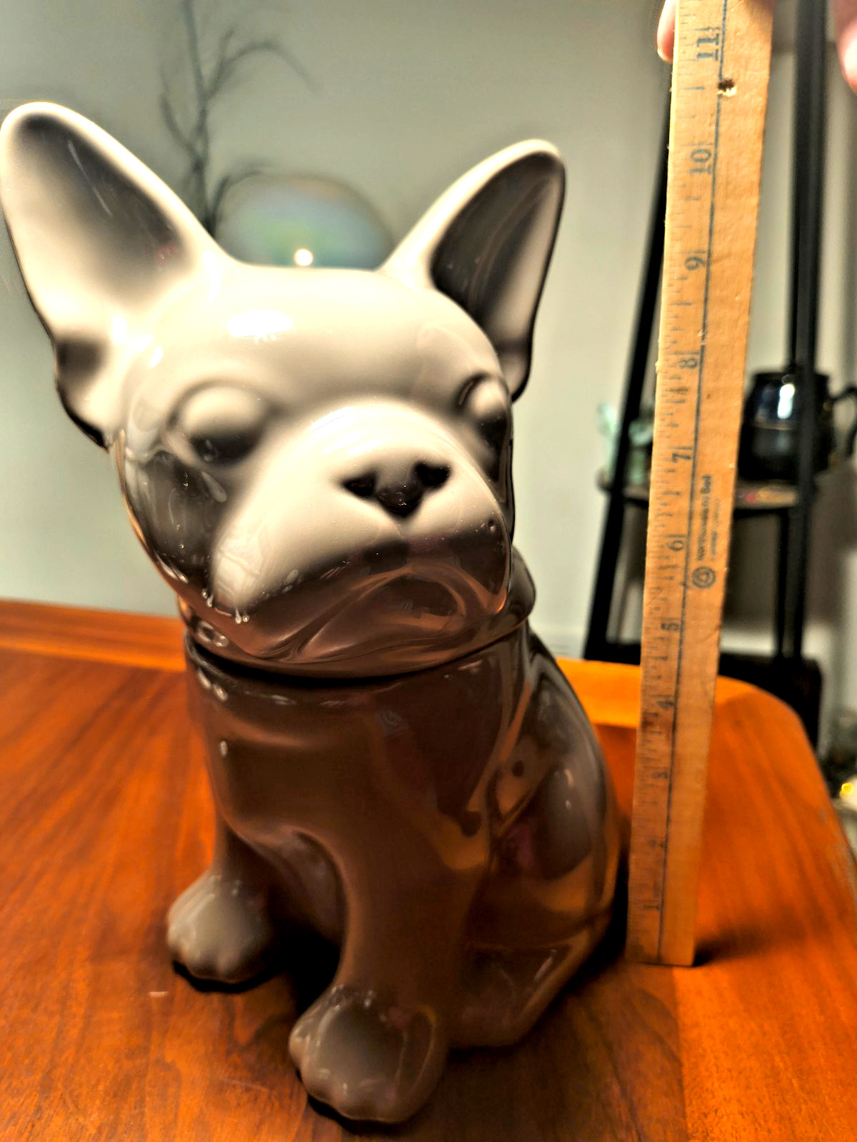 Grey Puppy French Bulldog Cookie/Candy Jar Adorable Modern