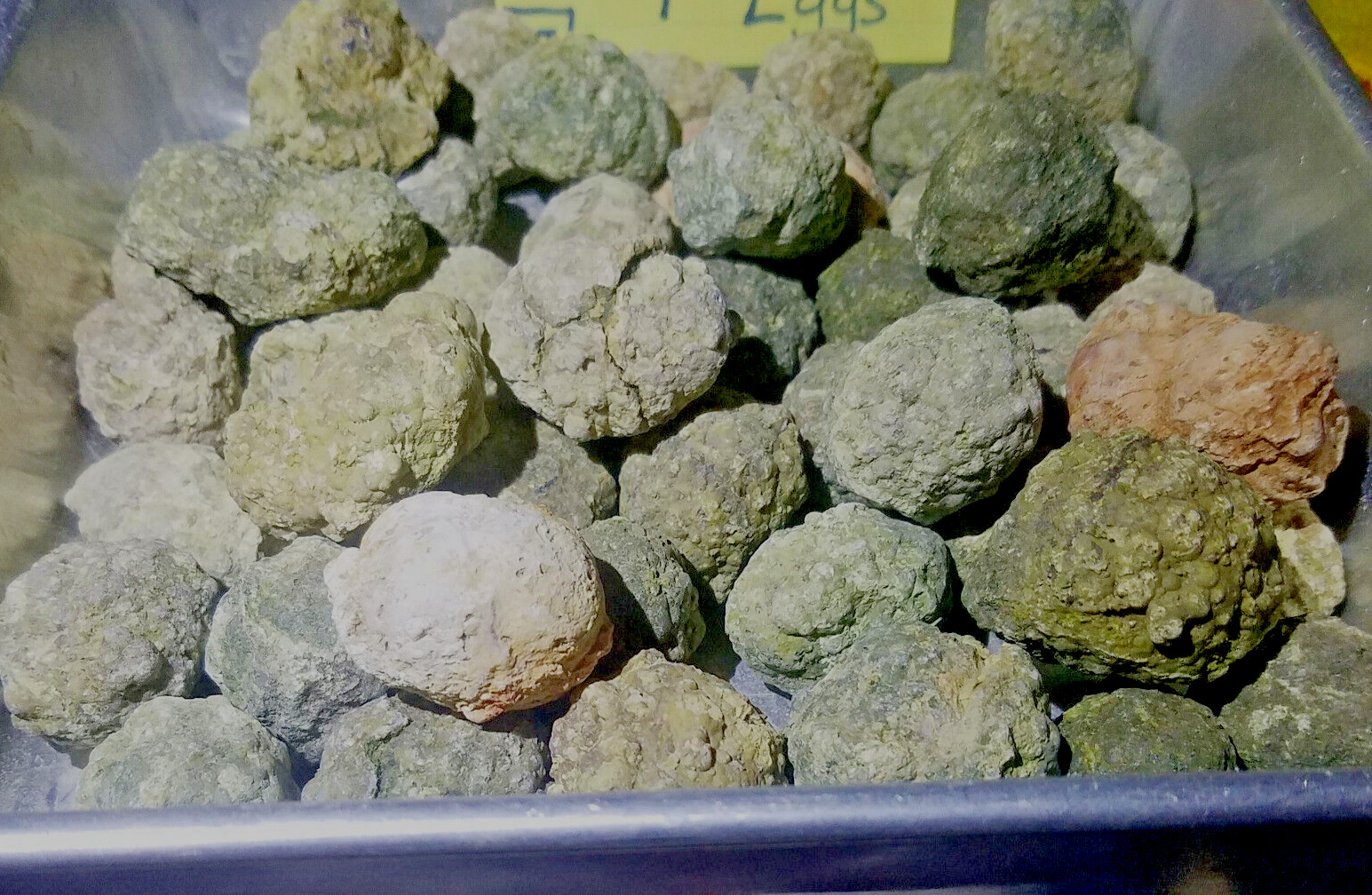 JoNGD: (Each 1-lb LOT) = ( 34 to 38 Tiny Oregon Thundereggs) Rough Bulk Rocks(W) JoNGD: (Each 1-lb LOT) = ( 34 to 38 Tiny Oregon Thundereggs) Rough Bulk Rocks(W)