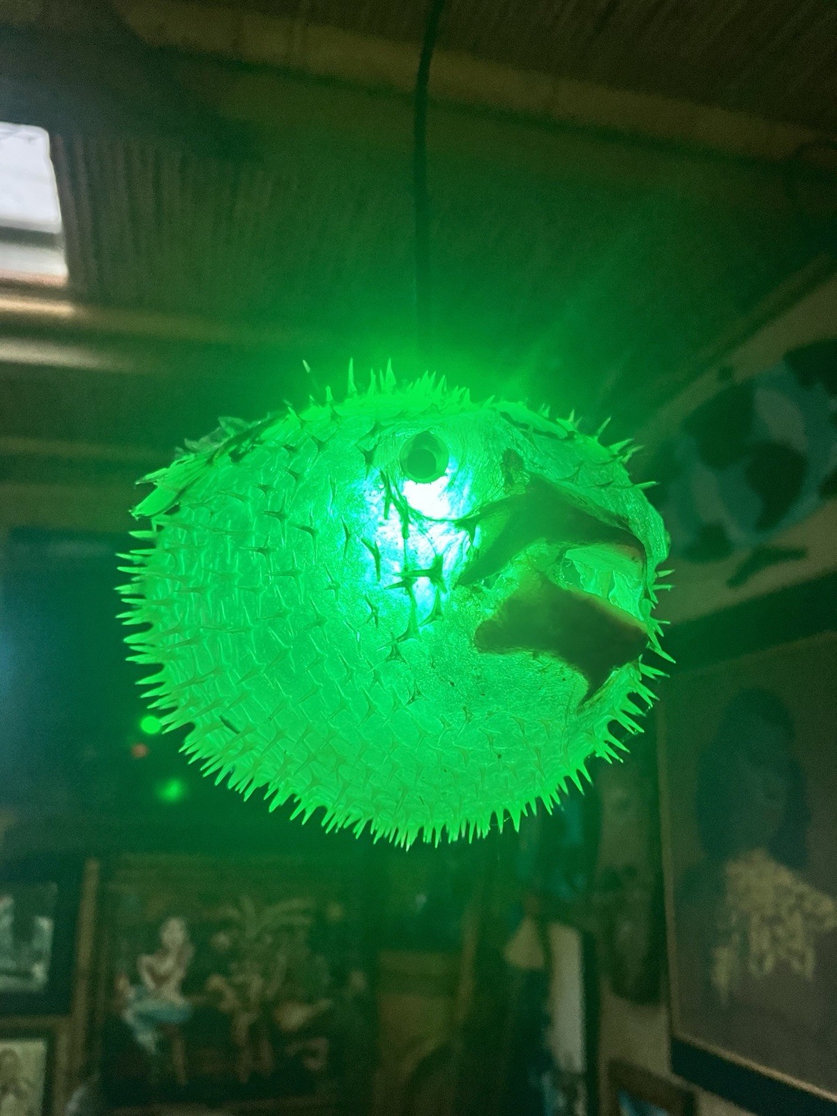 NEW 12”-13” Pufferfish Lamp w/Green LED Tiki bar Oceanic Smokin’ Tikis NEW 12”-13” Pufferfish Lamp w/Green LED Tiki bar Oceanic Smokin’ Tikis